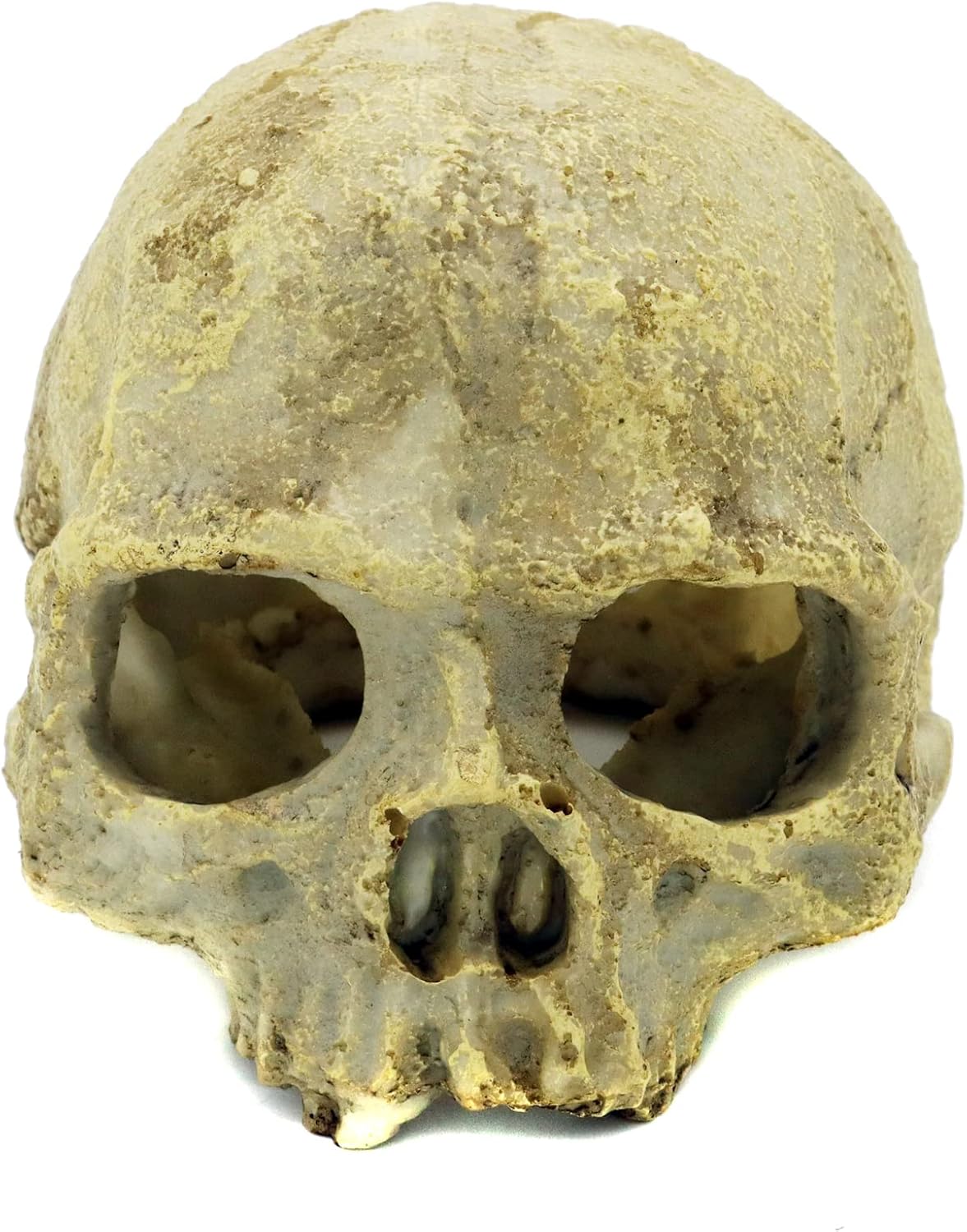 (Similar to stock photo) JIHAQUA Aquarium Resin Skull, Reptile Tank Accessories Ornament Basking Snake Hide Decor Habitat