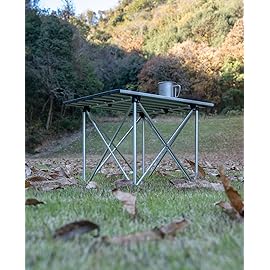 iClimb Ultralight Compact Camping Folding Table with Carry Bag (Reinforced Silver - L)