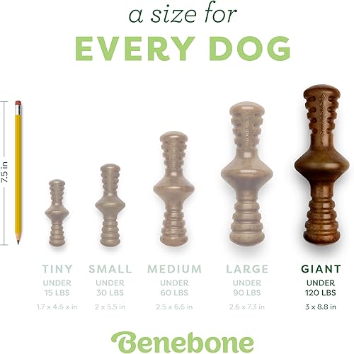 Miniatura 4 de Benebone Zaggler - Juguete para masticar perros con ruedas para masticadores agresivos, maní real, gigante, fabricado en Estados Unidos, gigante