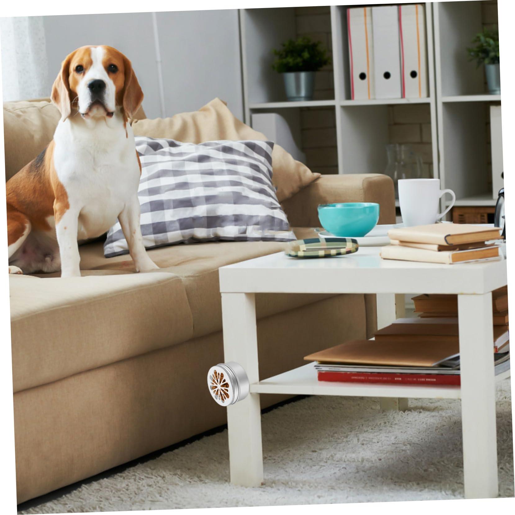 Caja de Entrenamiento de Olfato y 12 Puntos Magnéticos para Perros con 12 Latas de Aluminio Diseño Duradero y Fácil de Usar para Adiestramiento Canino