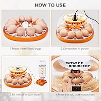 Vista 7 de Incubadora de 12 huevos con giro automático de huevos y control de temperatura, adición automática de agua, vela LED de huevos, incubadoras