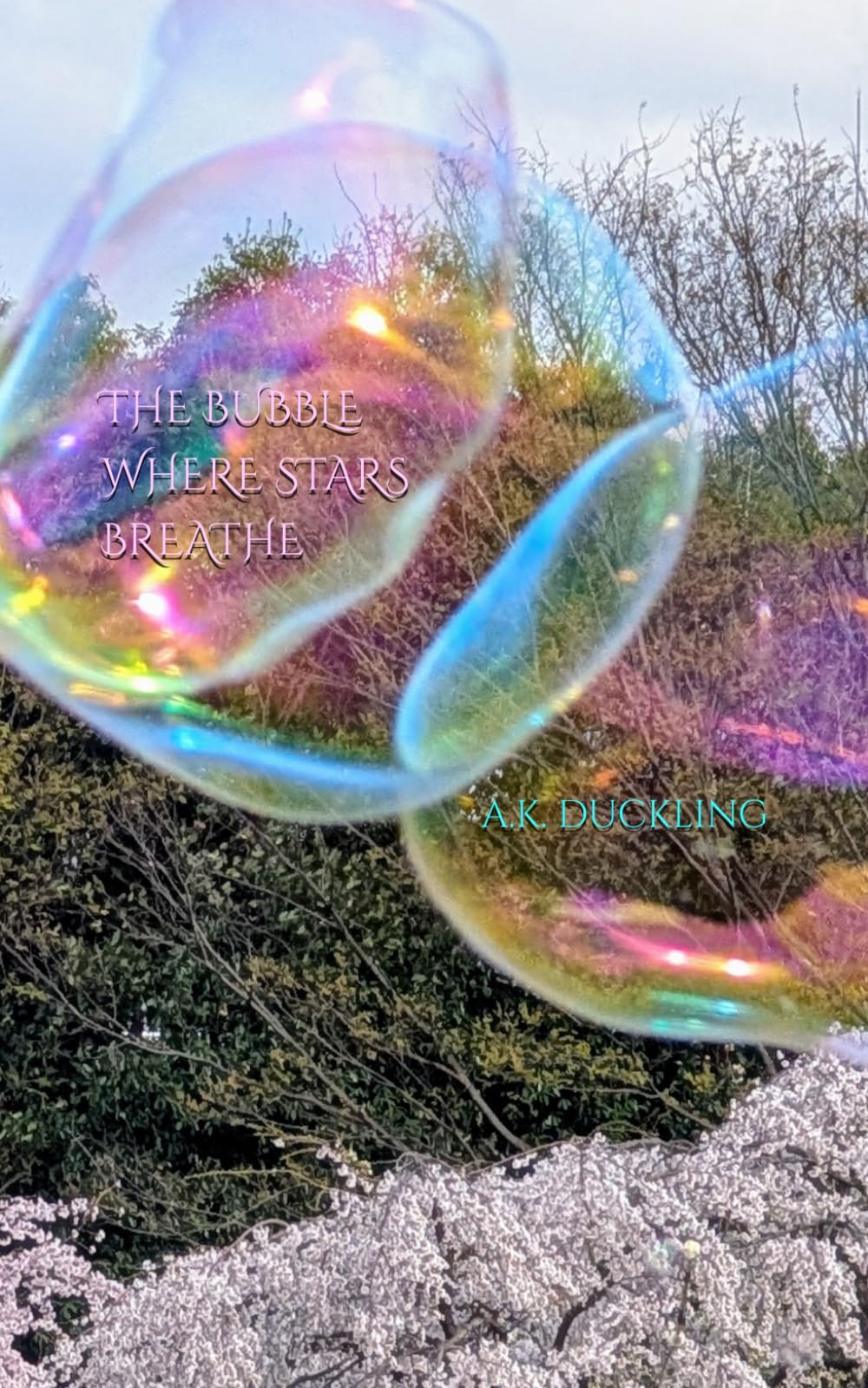 The bubble where stars breathe