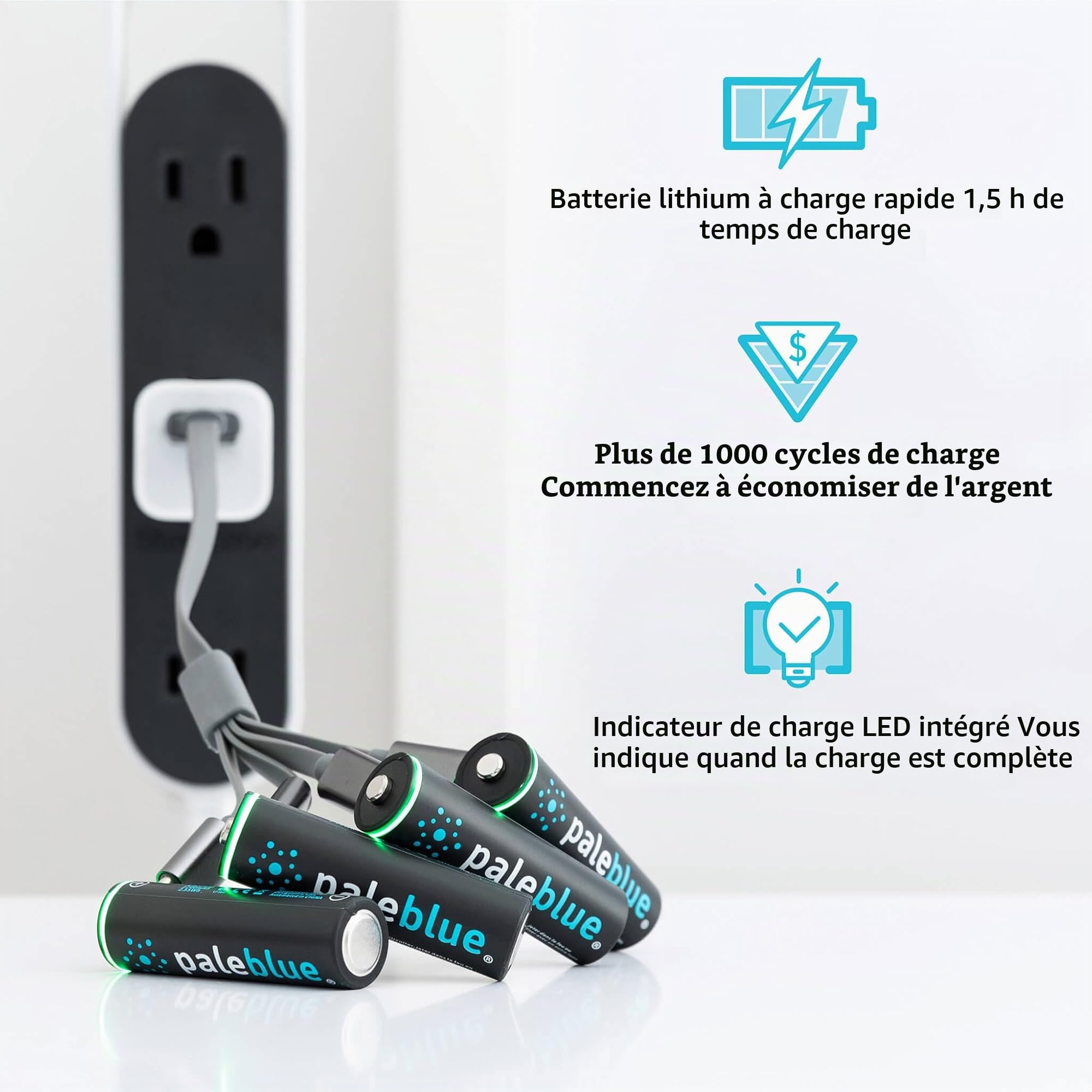 Piles Rechargeables USB-C PALEBLUE AA LR06 HR06