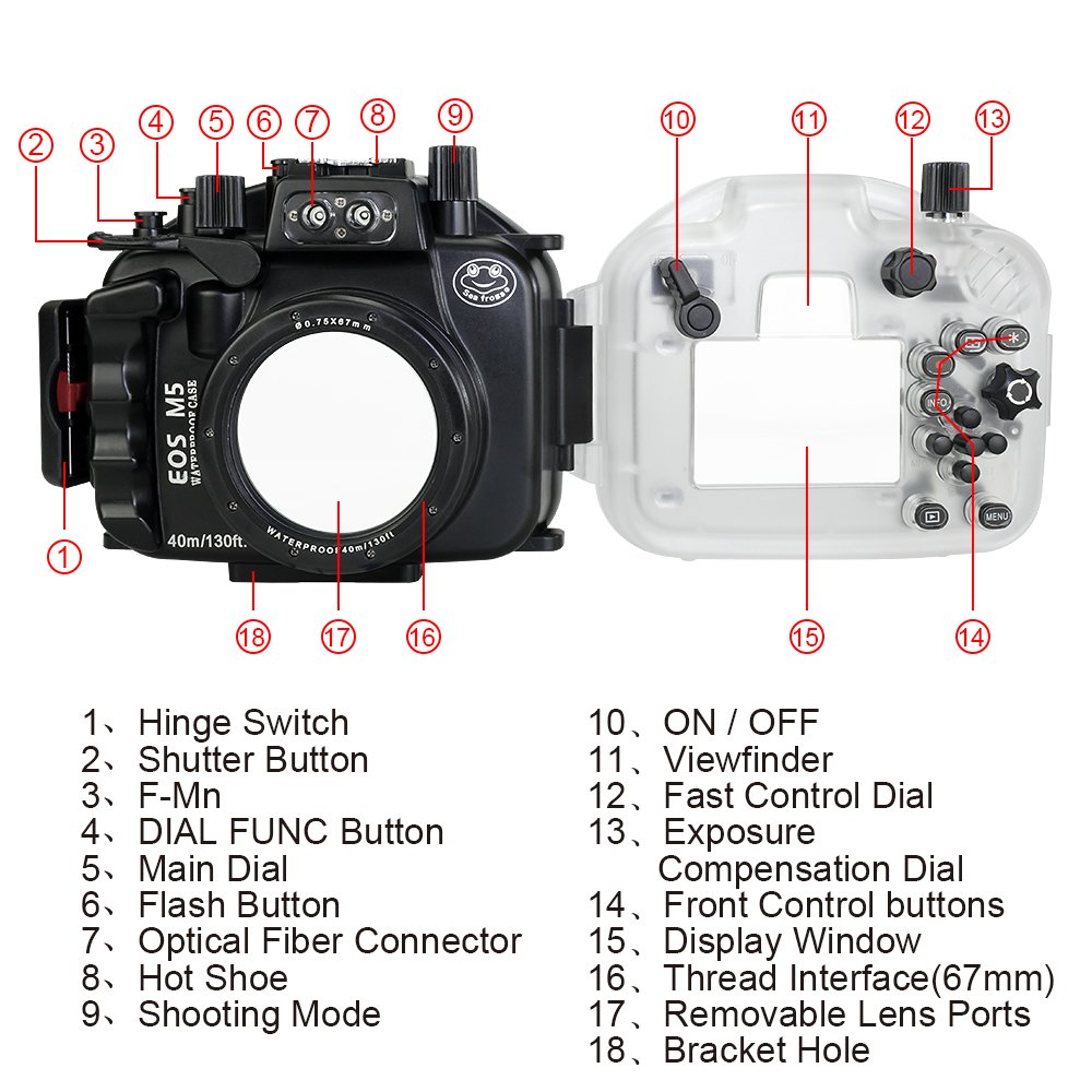 Sea frogs Custodia per fotocamera subacquea compatibile con Canon EOS M5 22 mm IPX8 40 m/130 ft massima profondità di immersione impermeabile custodia per fotocamera per immersioni, surf, canottaggio