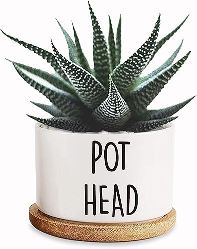Miniatura 9 de I'm a Succa for You - Maceta pequeña de cerámica blanca de 3.5 pulgadas con drenaje y bandeja de bambú, mini macetas suculentas, regalo de