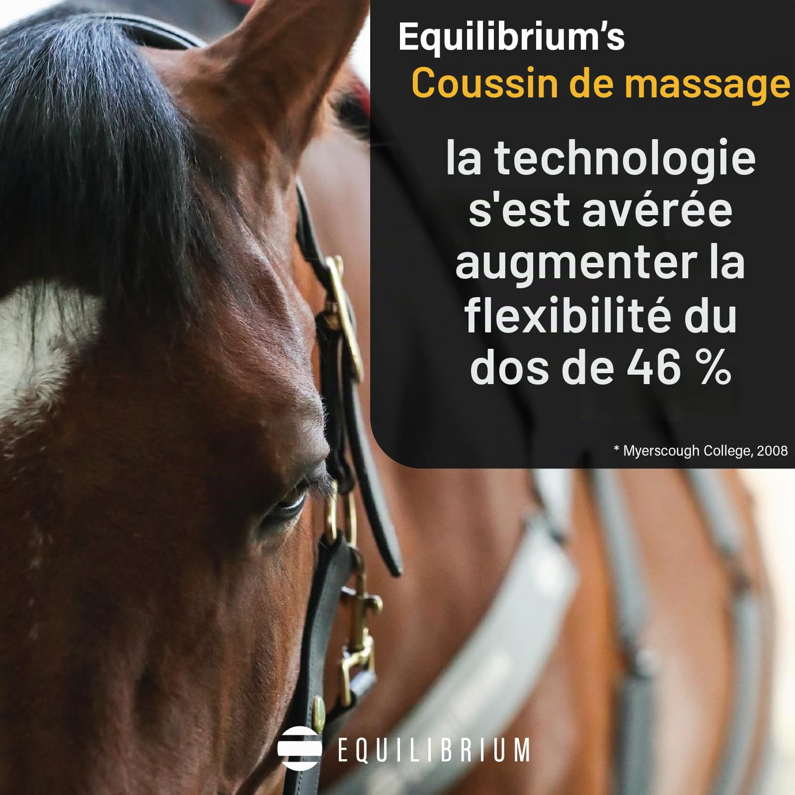 Equilibrium Heatsense Horse Massage Pad 35864 - Grey