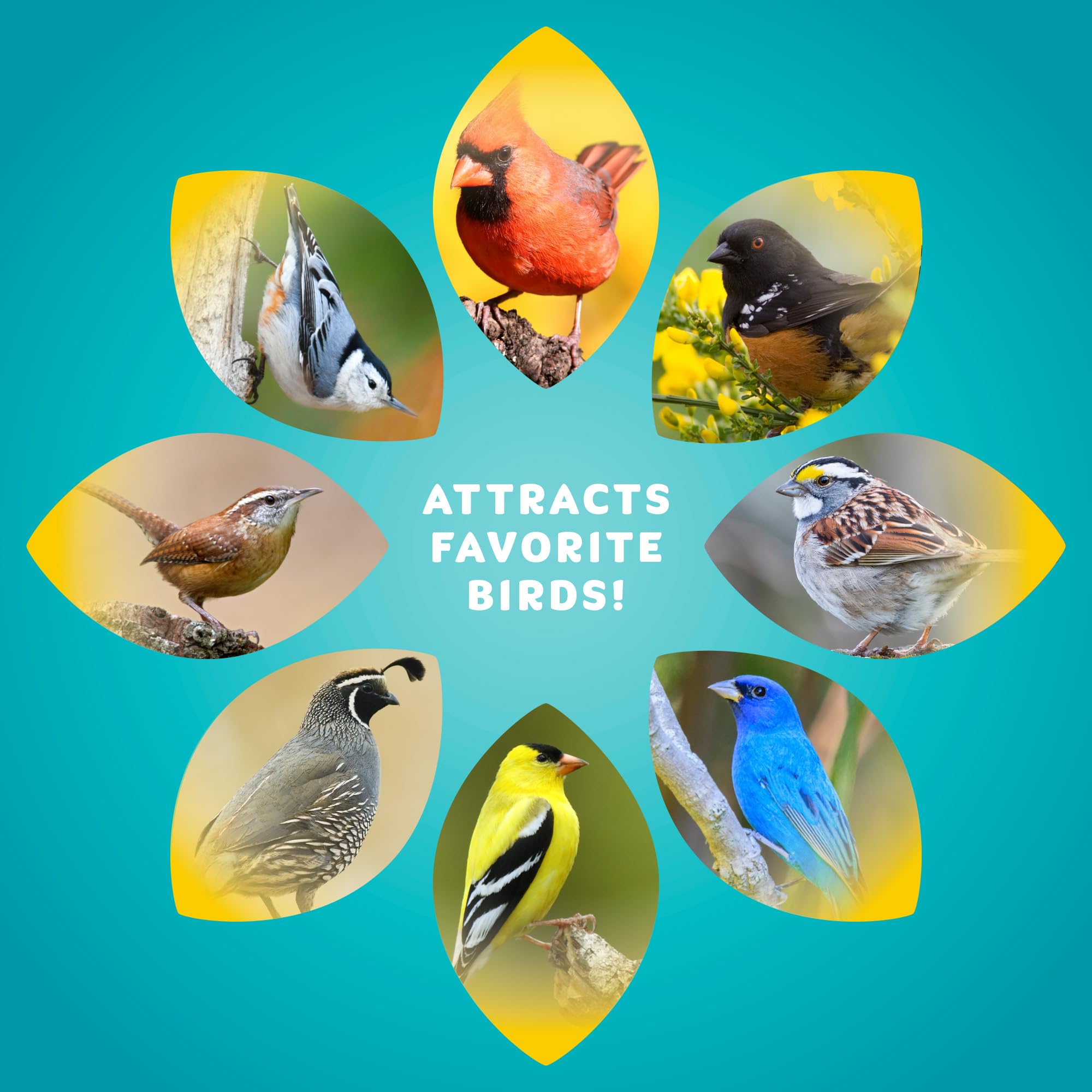 Audubon Park Alimento para Aves Silvestres sin residuos, Mezcla de 5,4 kg sin medición con Corazones de Girasol y trozos de Cacahuete, comedero para pájaros al Aire Libre