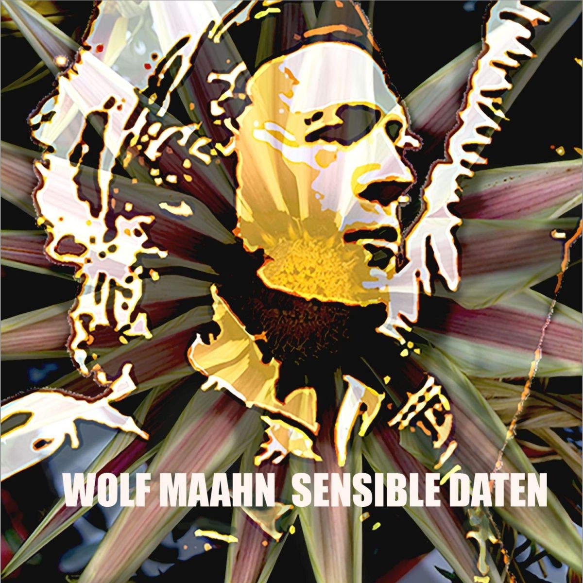 Sensible Daten [VINYL]