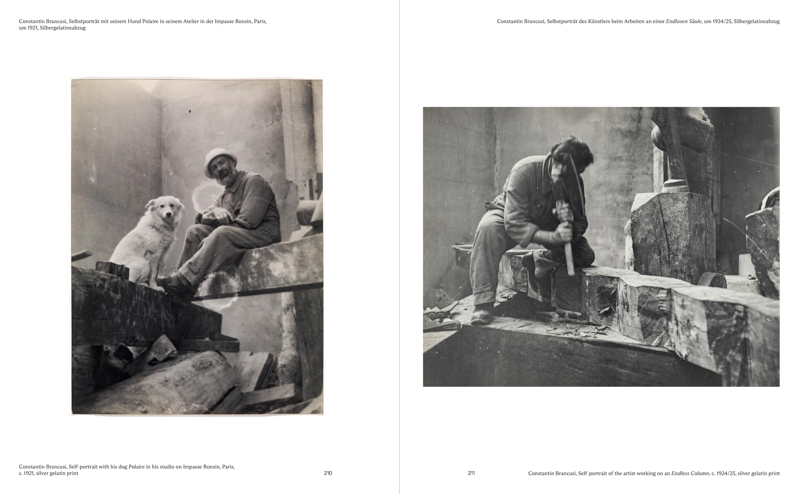 Constantin Brancusi /anglais