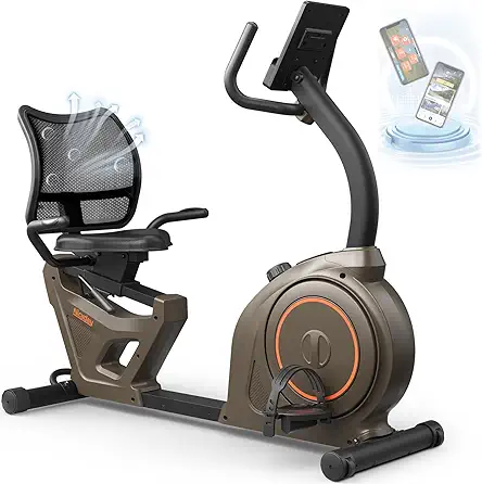 Niceday Indoor Recumbent Exercise Bike Workout Equipment for...