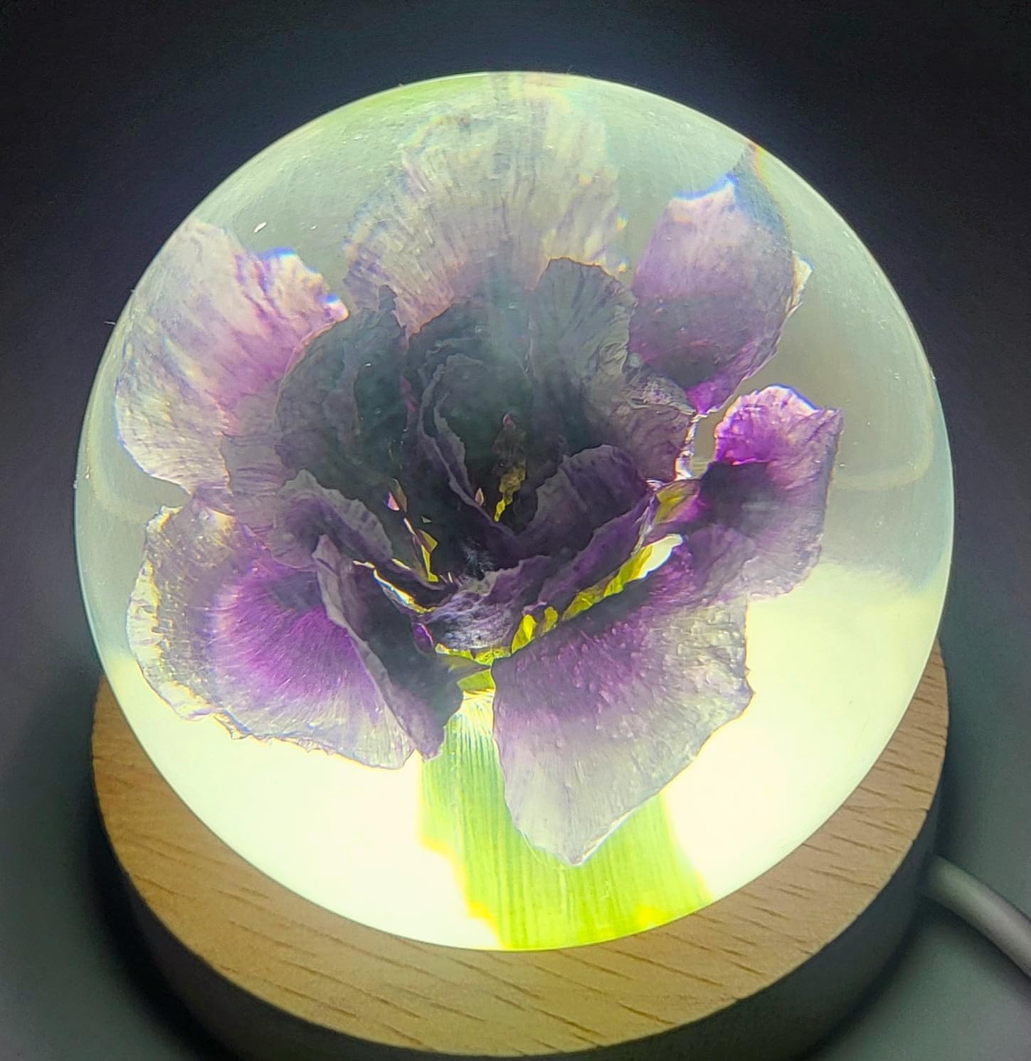HQRP-Crystal 60mm Real Purple Carnation in Clear Lucite Resin Ball Anniversary Wedding Engagement Valentine January Birth Month Flower Display Decor Collection Herb Paperweight Keepsake