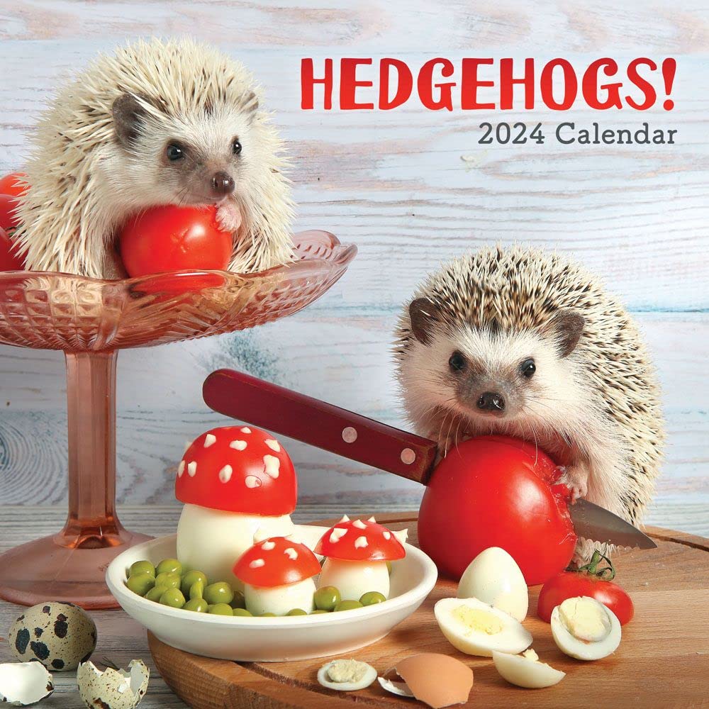 Piglets 2024 Calendar : Carousel Calendars