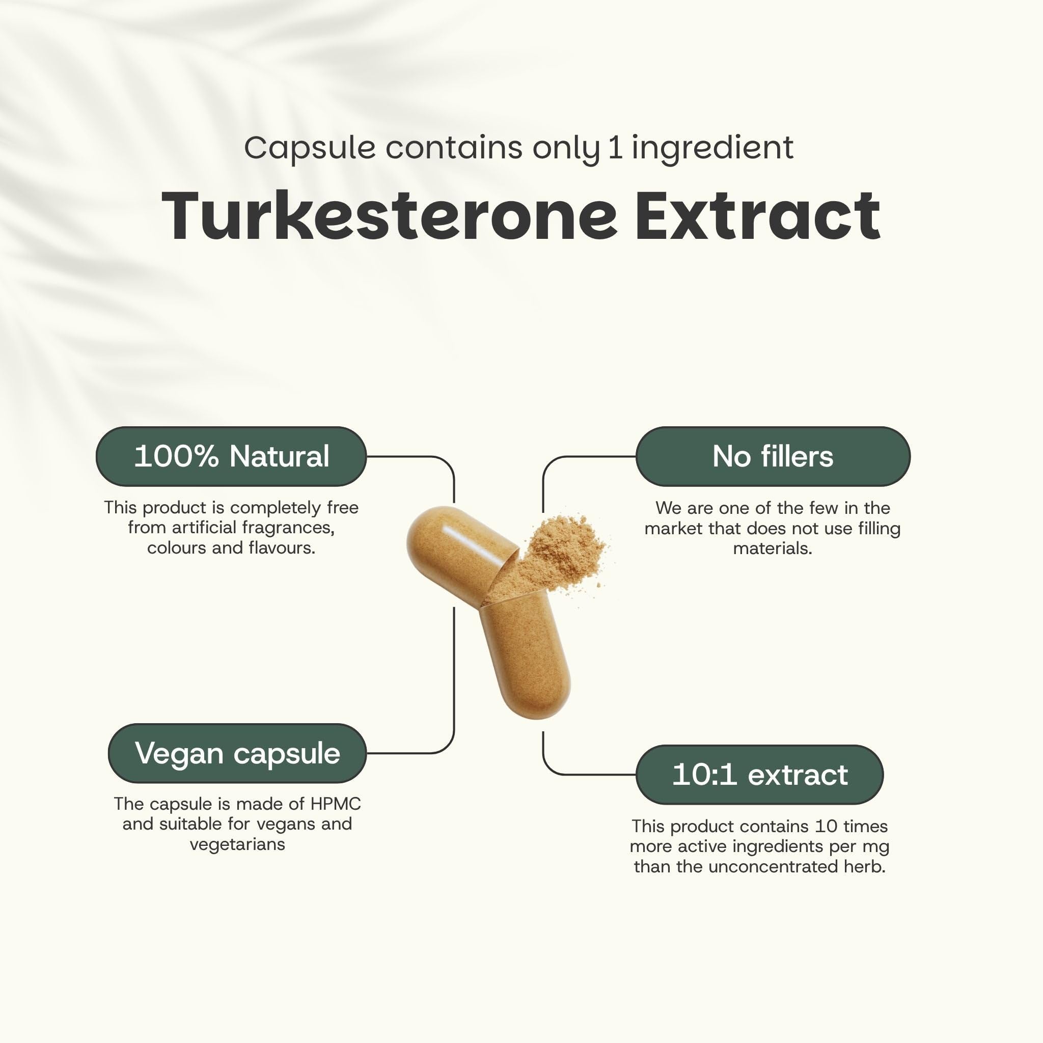 Turkesterone Extrakt Kapseln 500 mg Kombideal 4x 60 Capsules - Ajuga Turkestanica – Testosteron