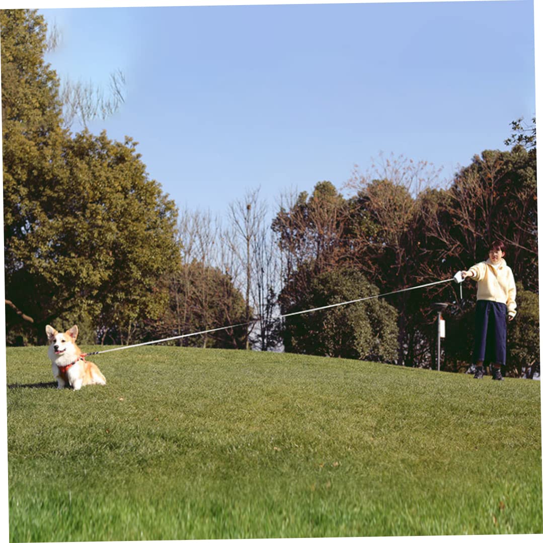Correa Extensible para Perros, Correa retráctil Fuerte para Perros para Caminar, Correr, Entrenar, se extiende hasta 5 m con Verde Claro