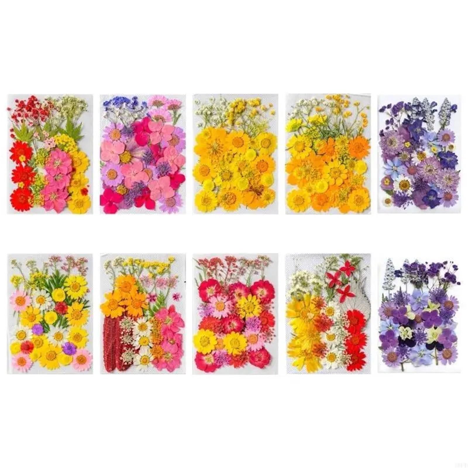 Gepresste Blumen Wunderschöne gepresste Trockenblume