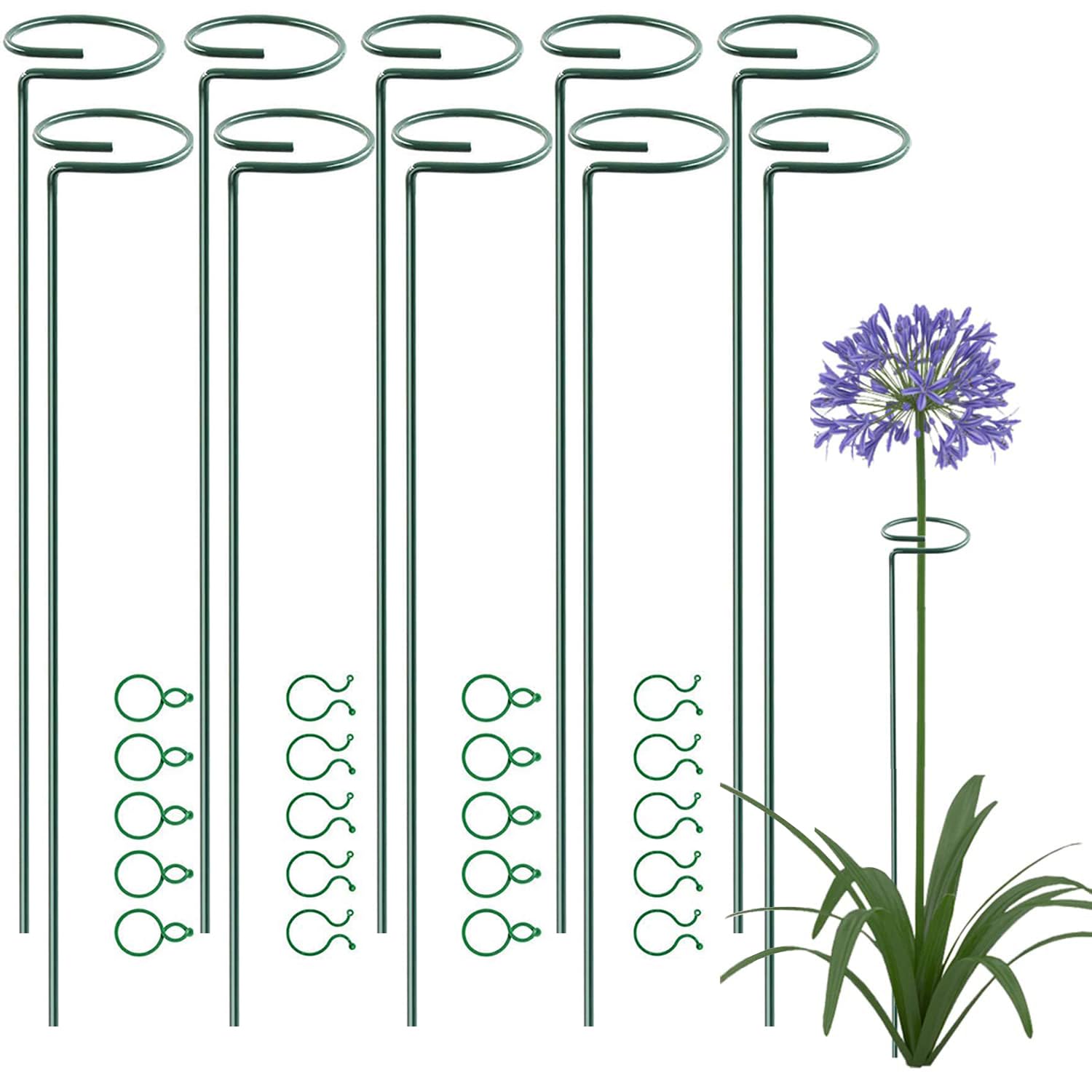 10 Pack 75 cm 29.5 inch Plant Support Stakes, Garden Single Stem Support Stake Amaryllis Plant Cage Support Rings for Tomatoes Orchid Lily Peony Rose Flower Stem (75 CM-10 Pack)