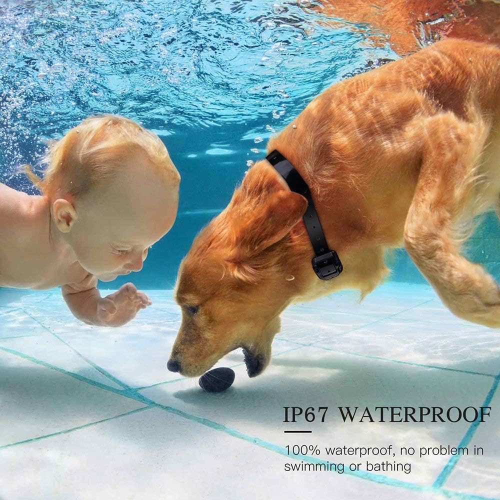 Dog Training Collars Large Shock Collar for Dogs with Remote for Large Dogs Waterproof USB Rechargeable Dog Remote Trainer with Vibration and Beep Mode 800 Yards Range Anti Bark