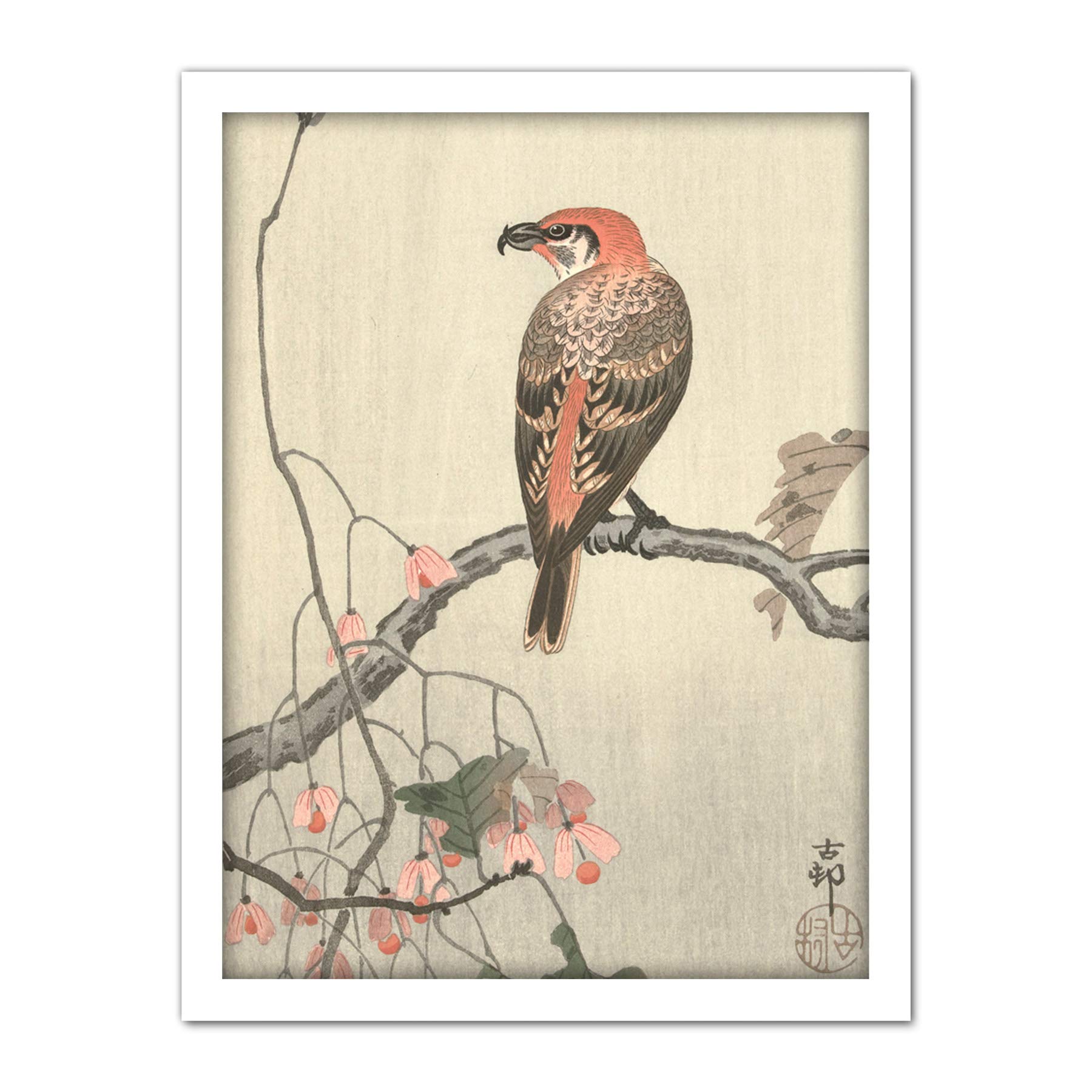 Artery8 Ohara Koson Crossbill On Tree Branch Japanese Artwork Framed Wall Art Print 18X24 Inch