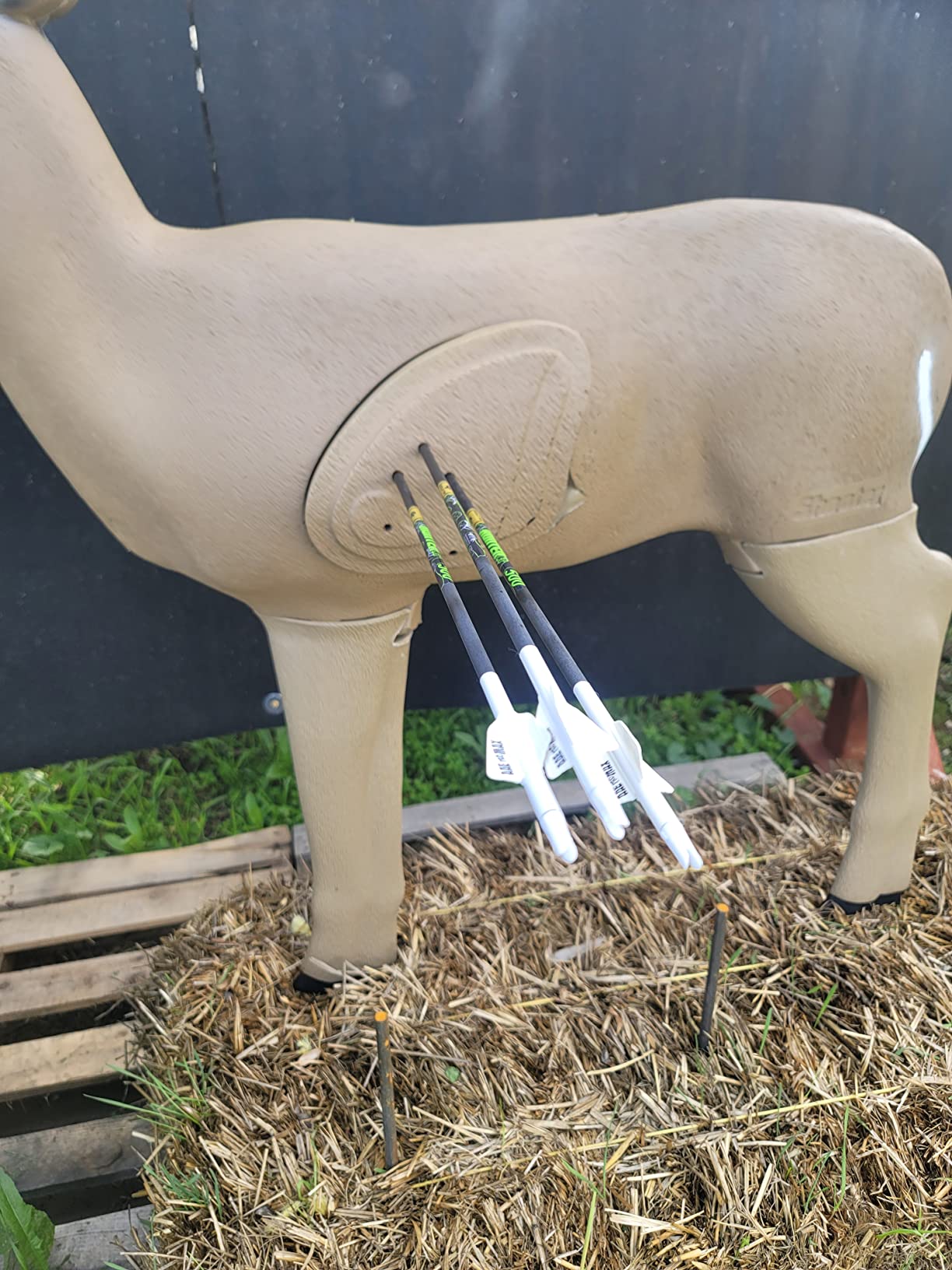 16/mo Finance Shooter Buck 3D Deer Archery Target Buy Now, Pay Later