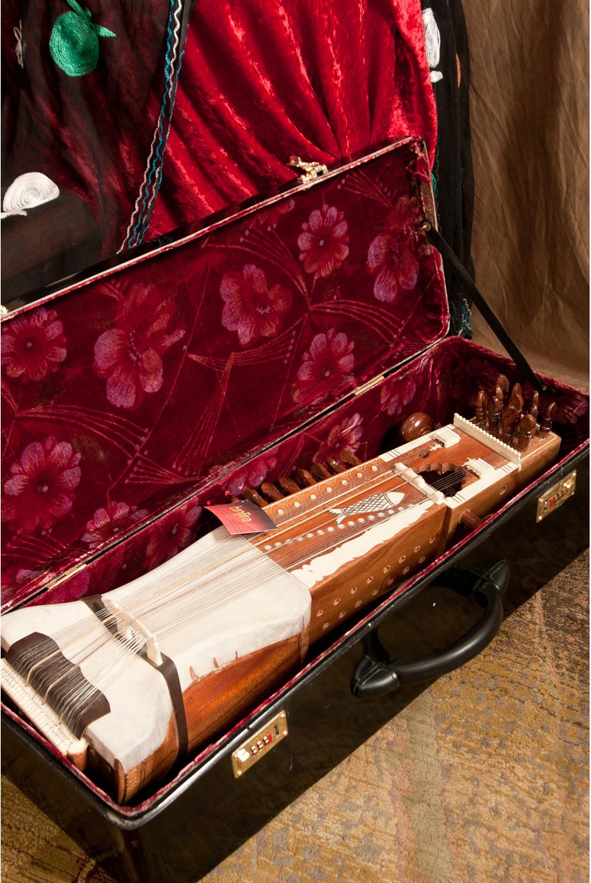 banjira Sarangi w/ Fiberglass Case - Image 3