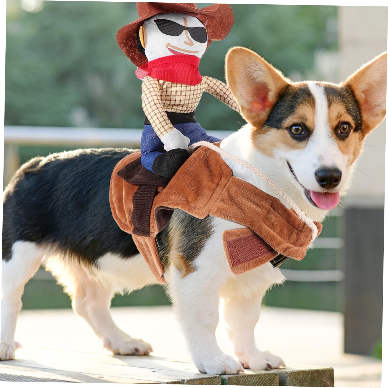 Disfraz de Halloween para Perros y Ropa Creativa para Mascotas Traje de Cosplay y Cómodo para Fiestas