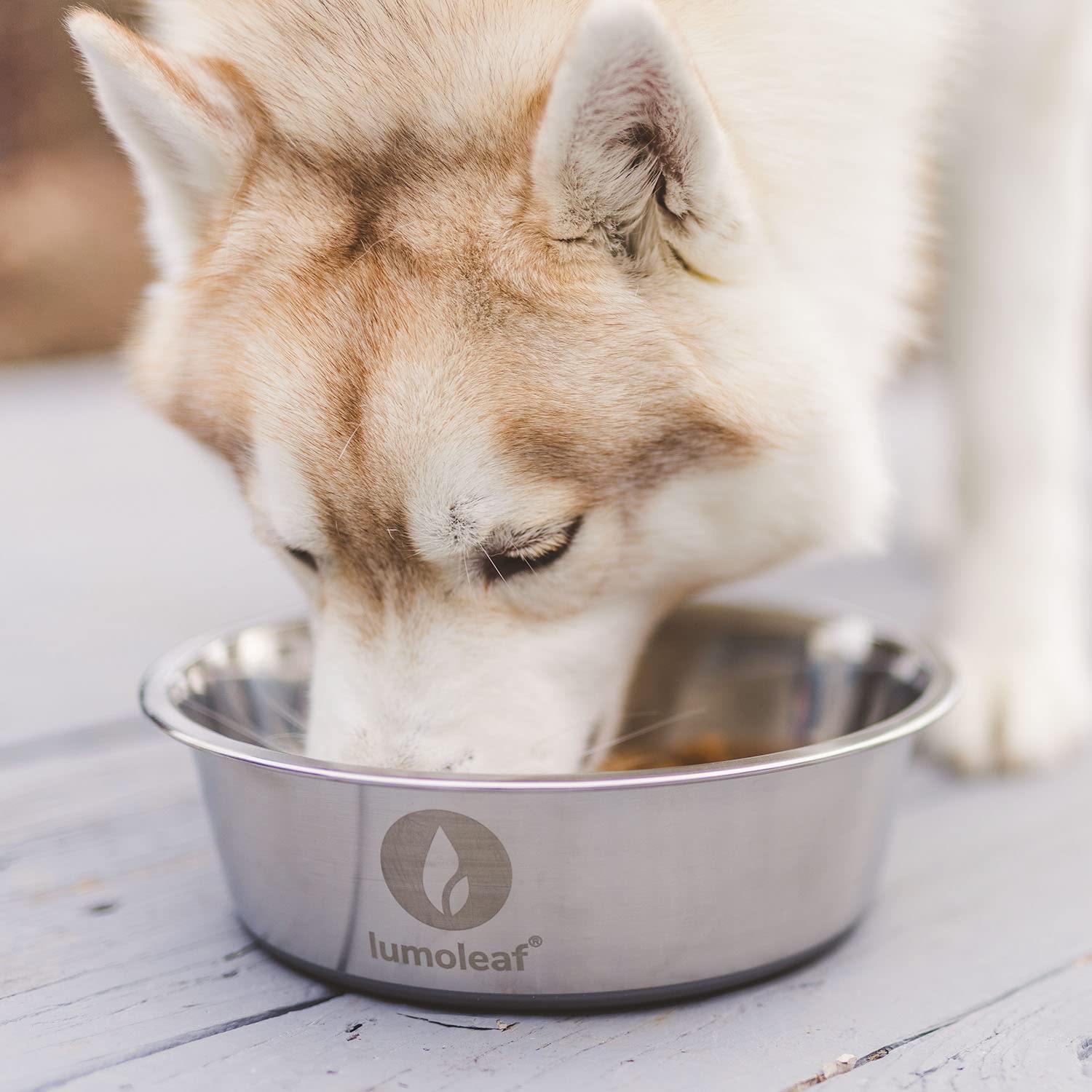 LumoLeaf Ciotole per cani grandi in acciaio inox da 2,9 oz/13 tazze, confezione da 2 ciotole per acqua e cibo, piatti antiscivolo per animali domestici con fondo in gomma, ciotole per animali