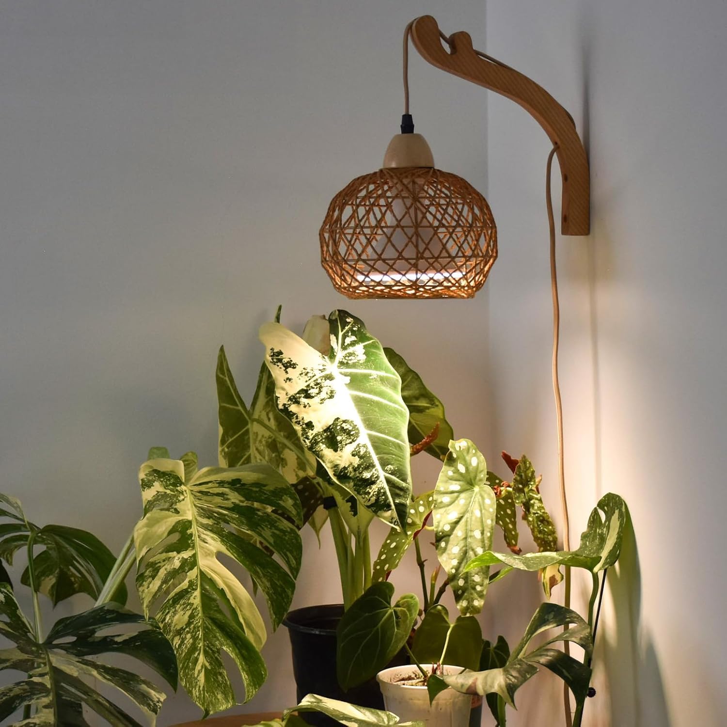 Bstrip Wand-Pflanzenlampe mit Boho-Rattanschirm, 18W, 3800K
