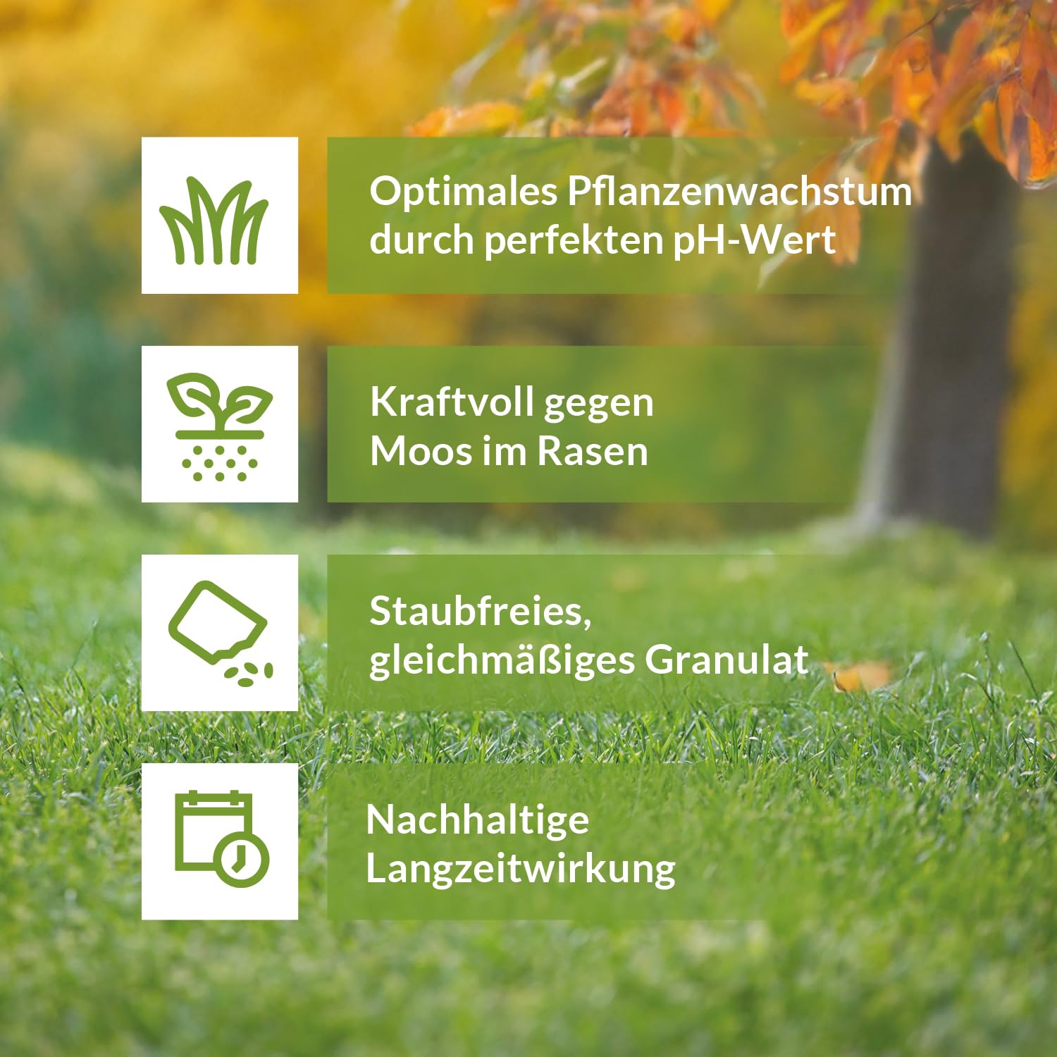 TerraDomi Rasenkalk & Gartenkalk 24kg | Beugt Moos & Pilzen vor | Zur Erhöhung des pH-Wertes saurer Böden | Für einen gesunden Rasen I Intensiviert die Düngung | Für 480m²