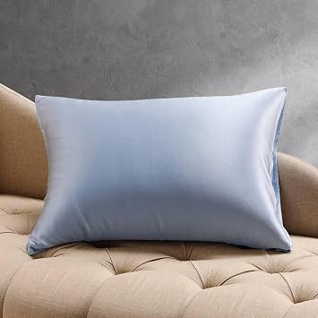 Cuddledown Mulberry Silk Pillowcase | 22 Momme | Grade 6A | 100% Pure Mulberry Silk | Naturally Soft & Breathable | Oeko-TEX Standard 100 | Standard | Slate Blue