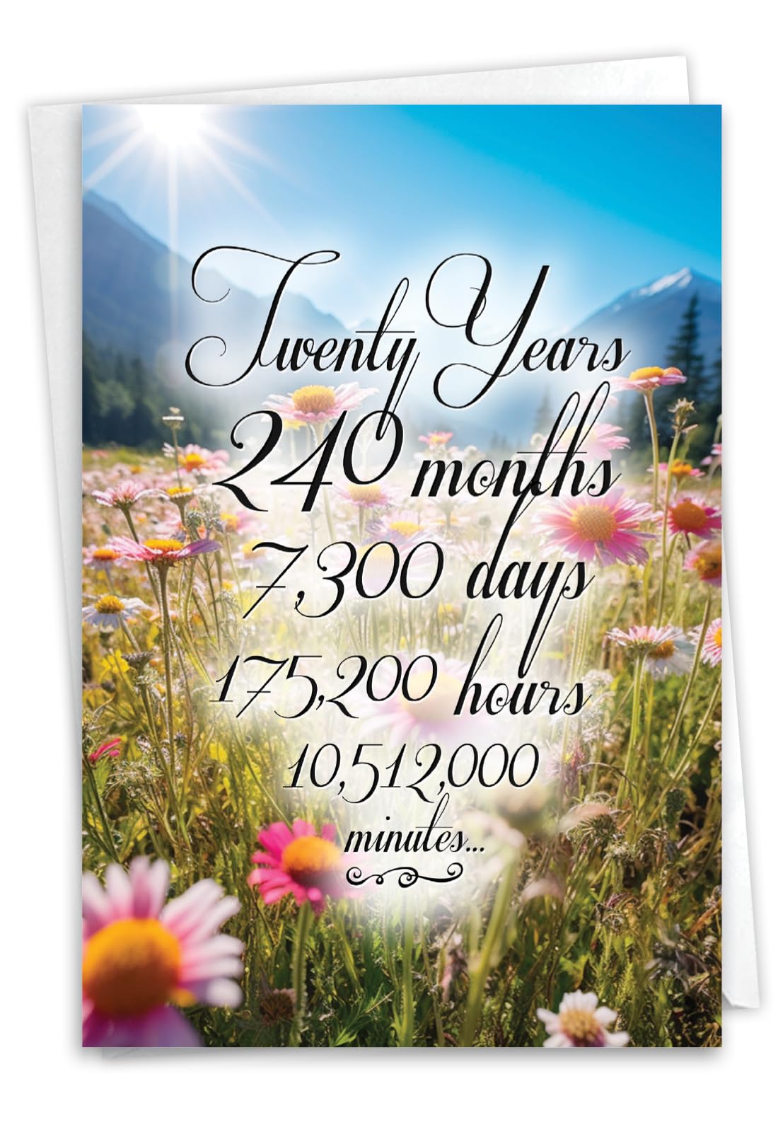 NobleWorks, 20th Recovery Greeting Card with 5 x 7 Inch Envelope (1 Card) 20 Year Time Count C9088AAG โ image 1
