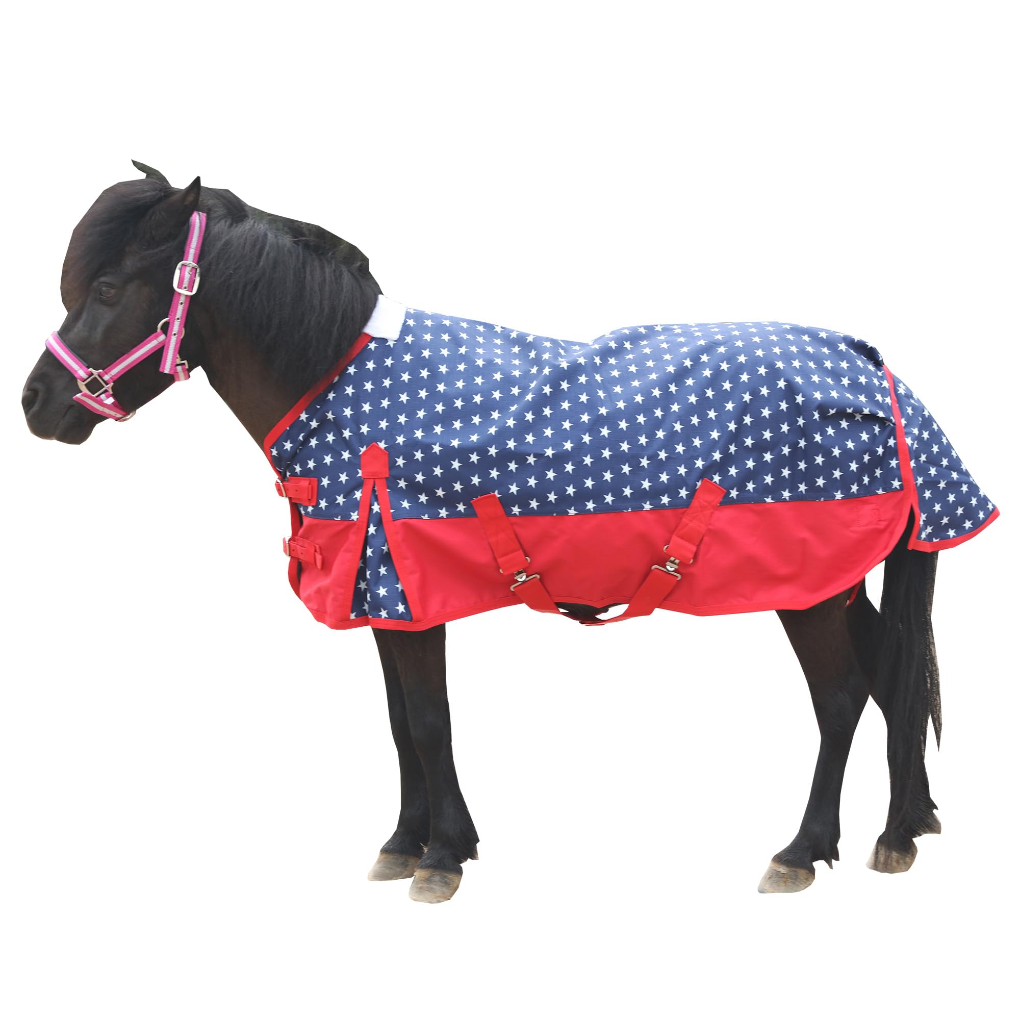 Leberna Pony Turnout Rug, 1200D Waterproof Lightweight Rain Sheet for Miniature Shetland Foal Donkey and Section A (No Fill) (Star, 3'9")