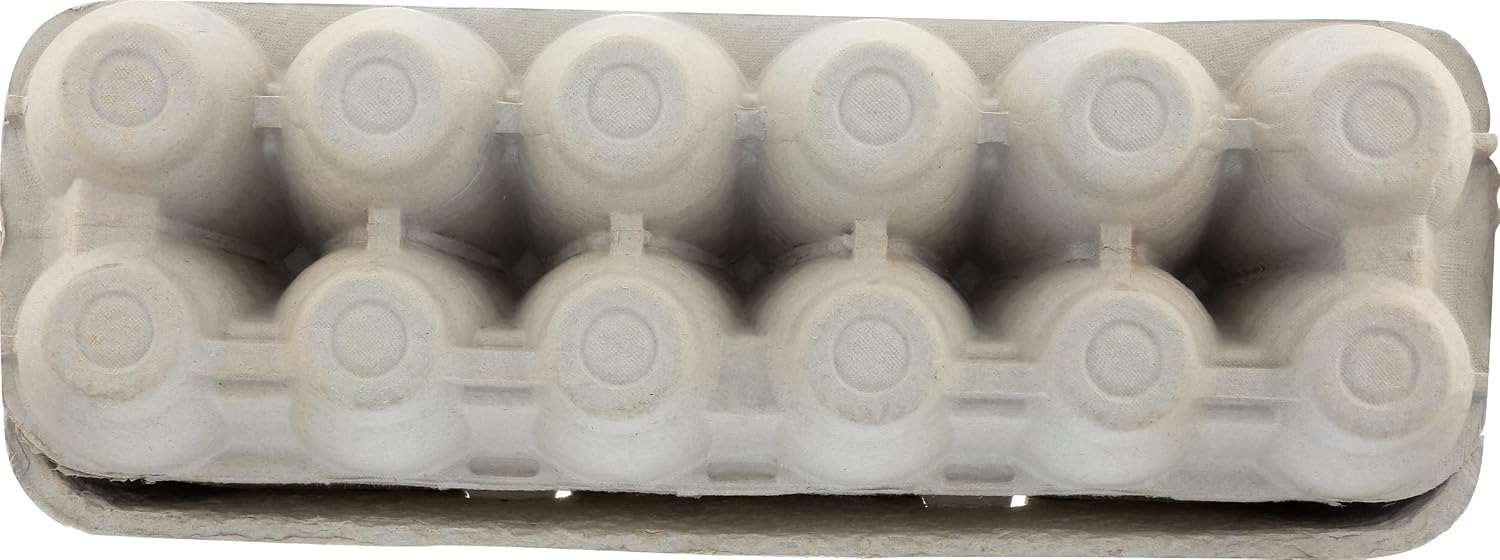 JUDYS Organic Extra Large Eggs, 12 CT