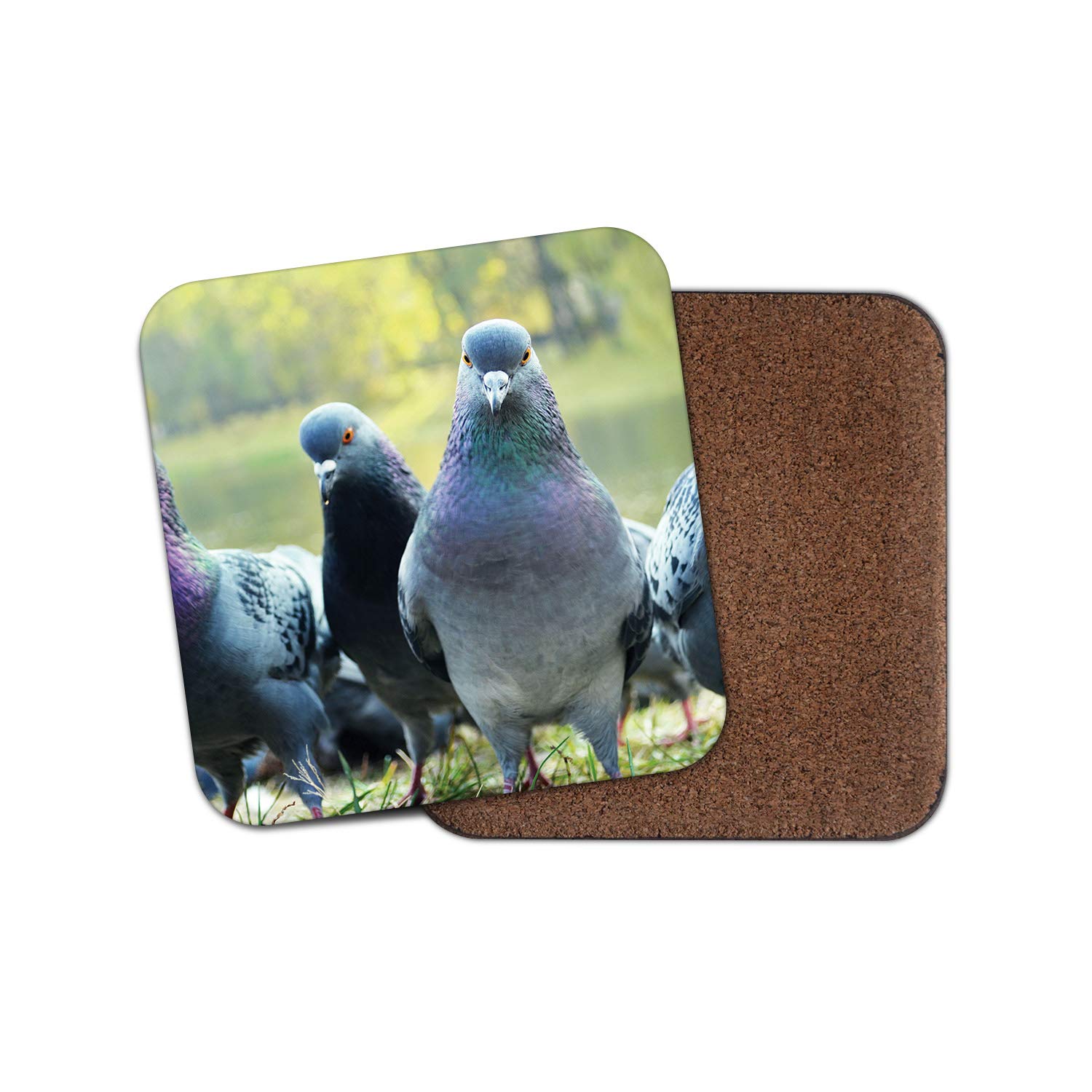 1 x Flock of Pigeons Coaster - Birds Carrier Pigeon Animals #15735