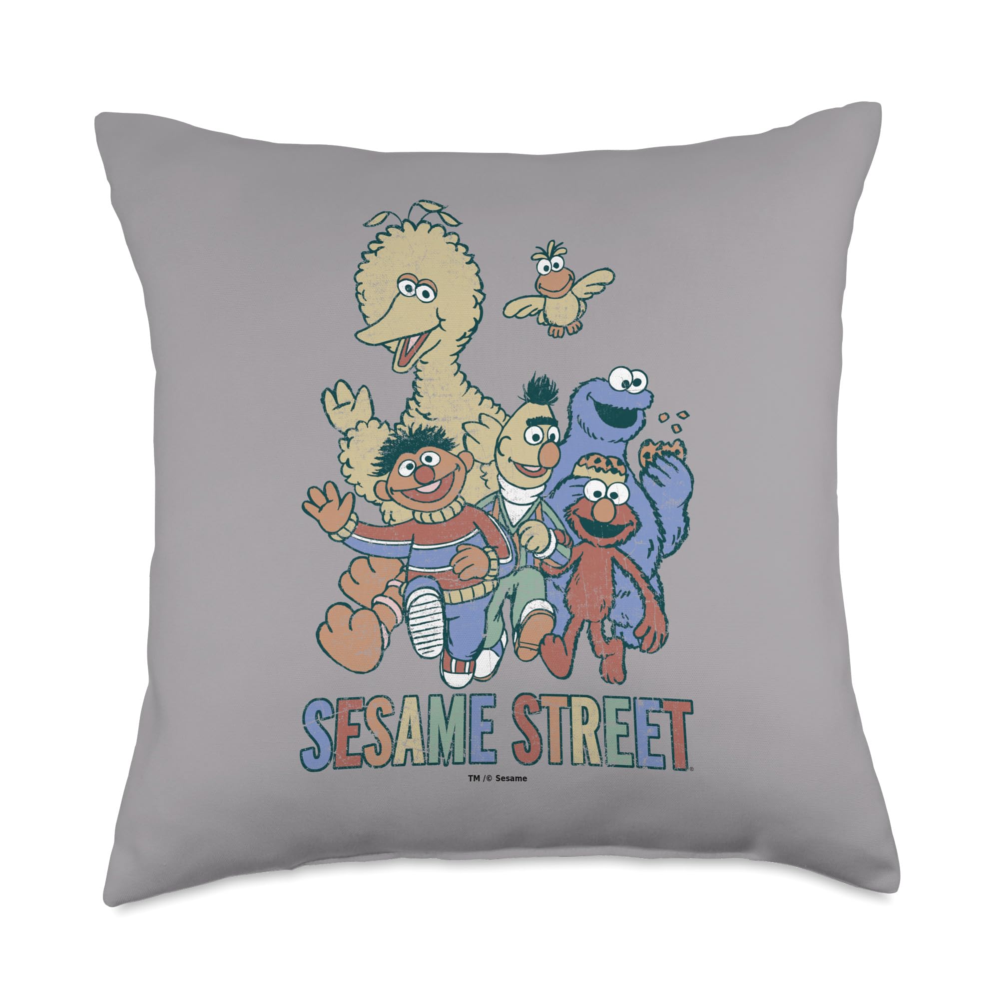 Coussin Sesame Street Colorful Group pour retrouver vos souvenirs d enfance