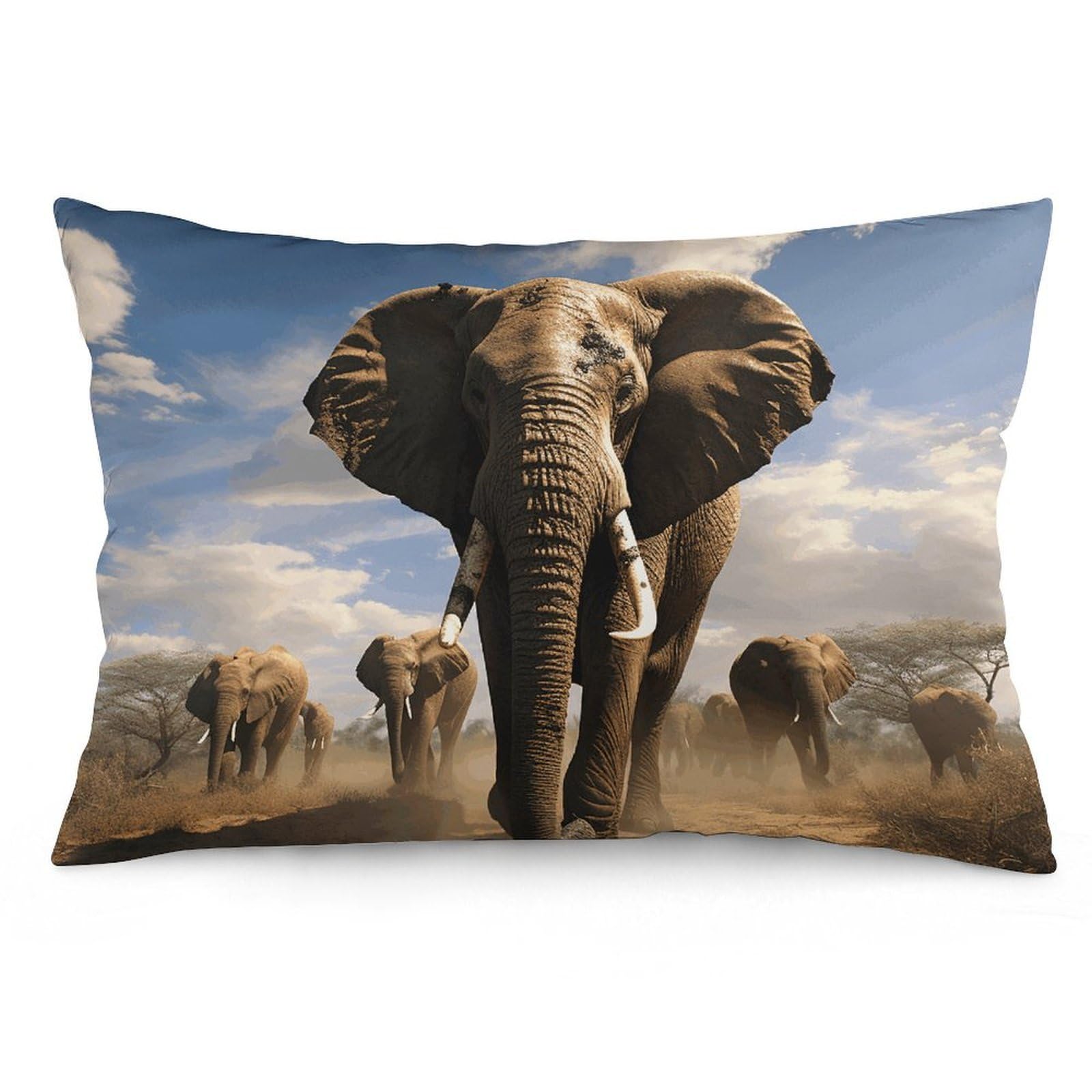 2 Pack Pillow Cases for Hair and Skin, Soft Breathable Pillow Case Covers with Hidden Zipper, Ferocious Elephant Pillowcase 16 "x24 Pillow Covers for Sleeping Gift