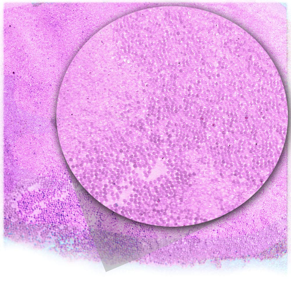 The Crafts Outlet 1-oz/28-g Opal Semi Transparent Finish, Glass, Microbeads 0.6mm, Ideal for Caviar Nails, Opal Semi Transparent Opal Lavender