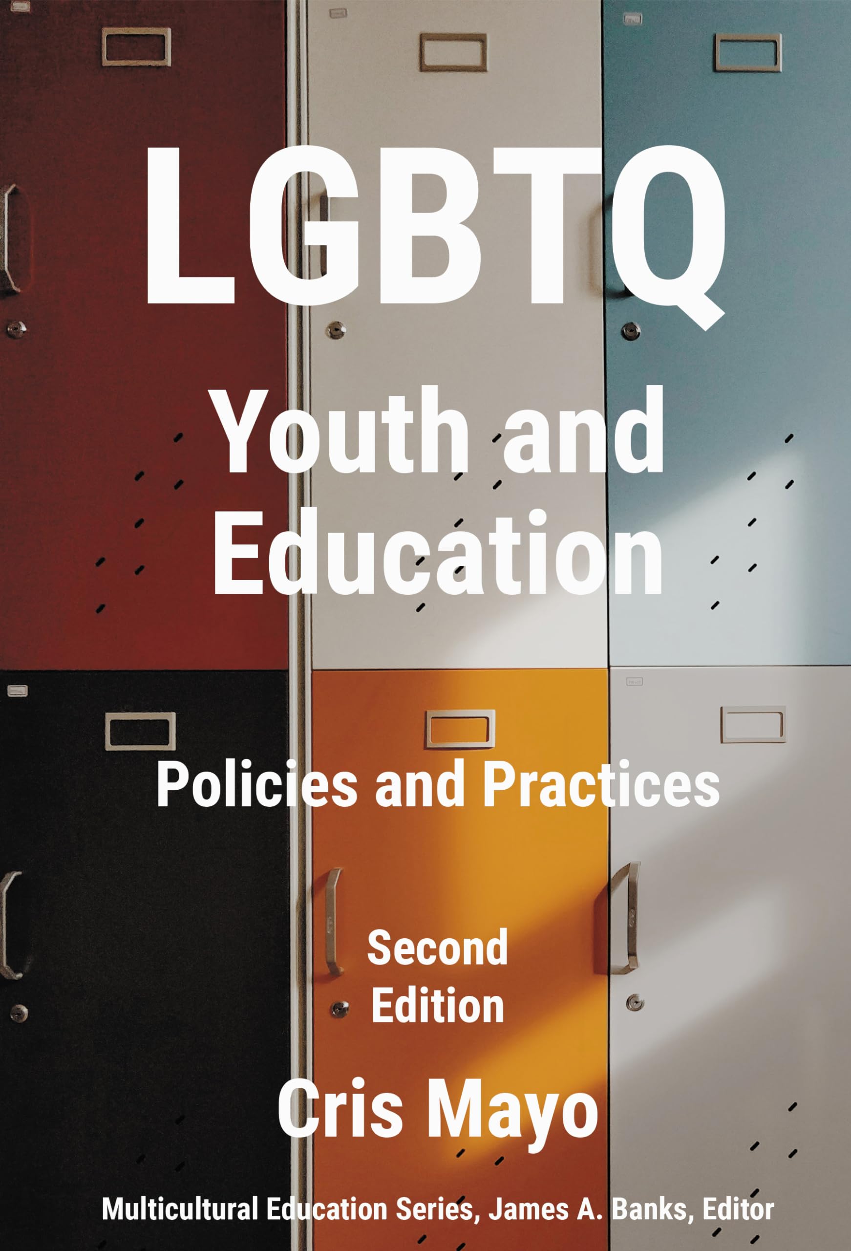 Buy LGBTQ Youth and Education: Policies and Practices (Multicultural Education) — BookShops.in