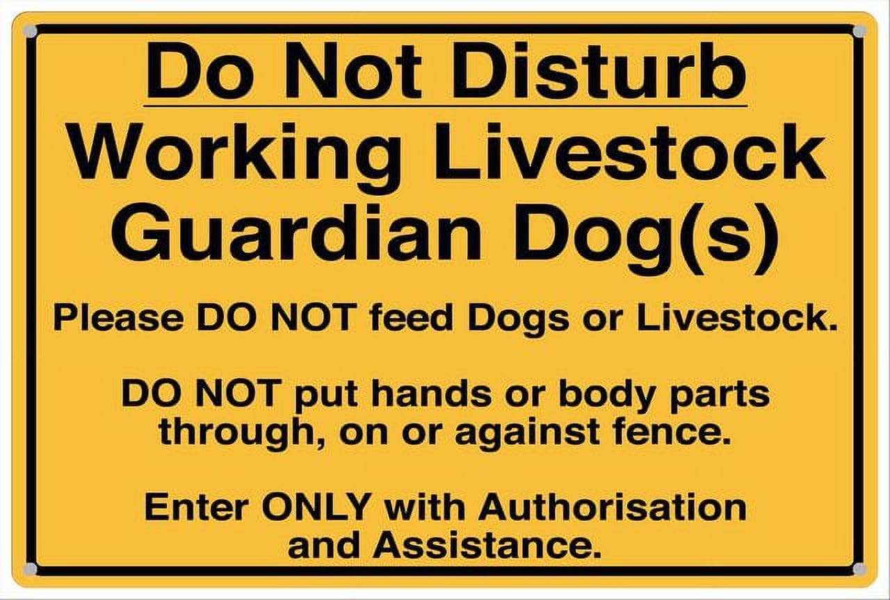 Do Not Disturb Working Livestock Guardian Dog Aluminum Tin Sign 12x8 inch For Farm Operators, Homeowners - Home Kitchen Wall Decor