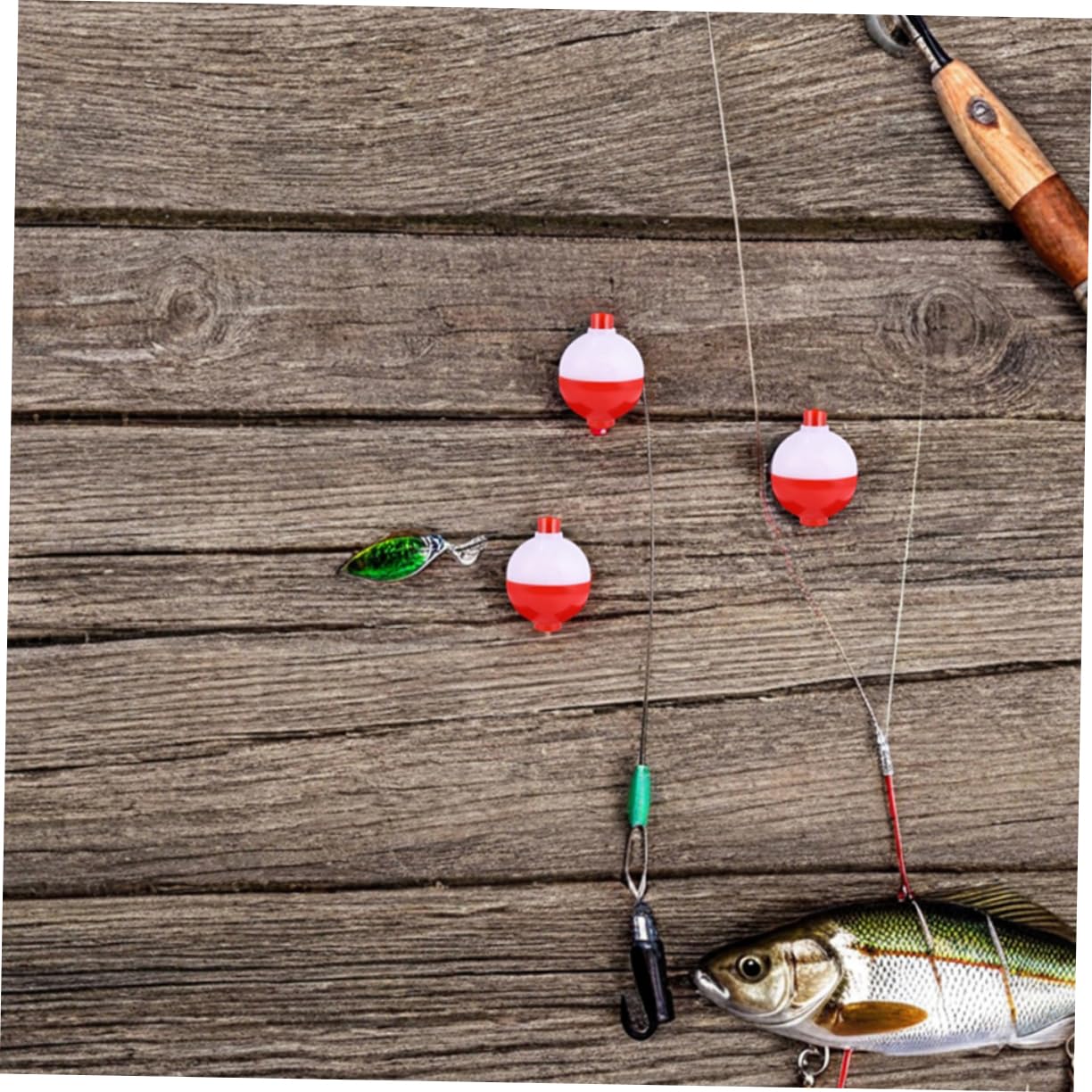 Galleggianti Accessori per Esche 50 Rotondi Pezzi in Plastica Galleggiabilità Stabile e Sostituzione Ridotta per Pesca in Mare per Pesca Sportiva e Ricreativa