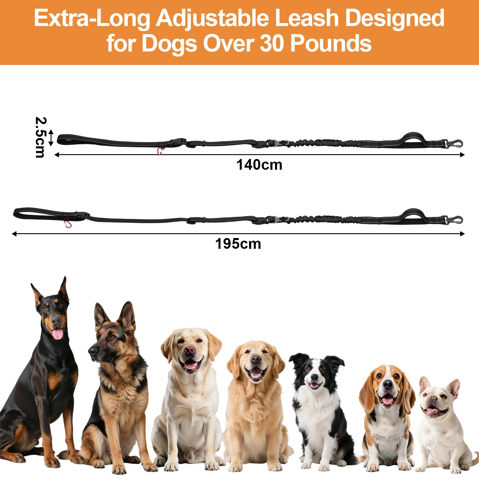 Correa para perros manos libres para hombro y cuerpo (1,4 – 1,95 m) con cómodas asas dobles y mosquetón de seguridad ajustable – perfecto para perros medianos y grandes coches. Ideal para senderismo y