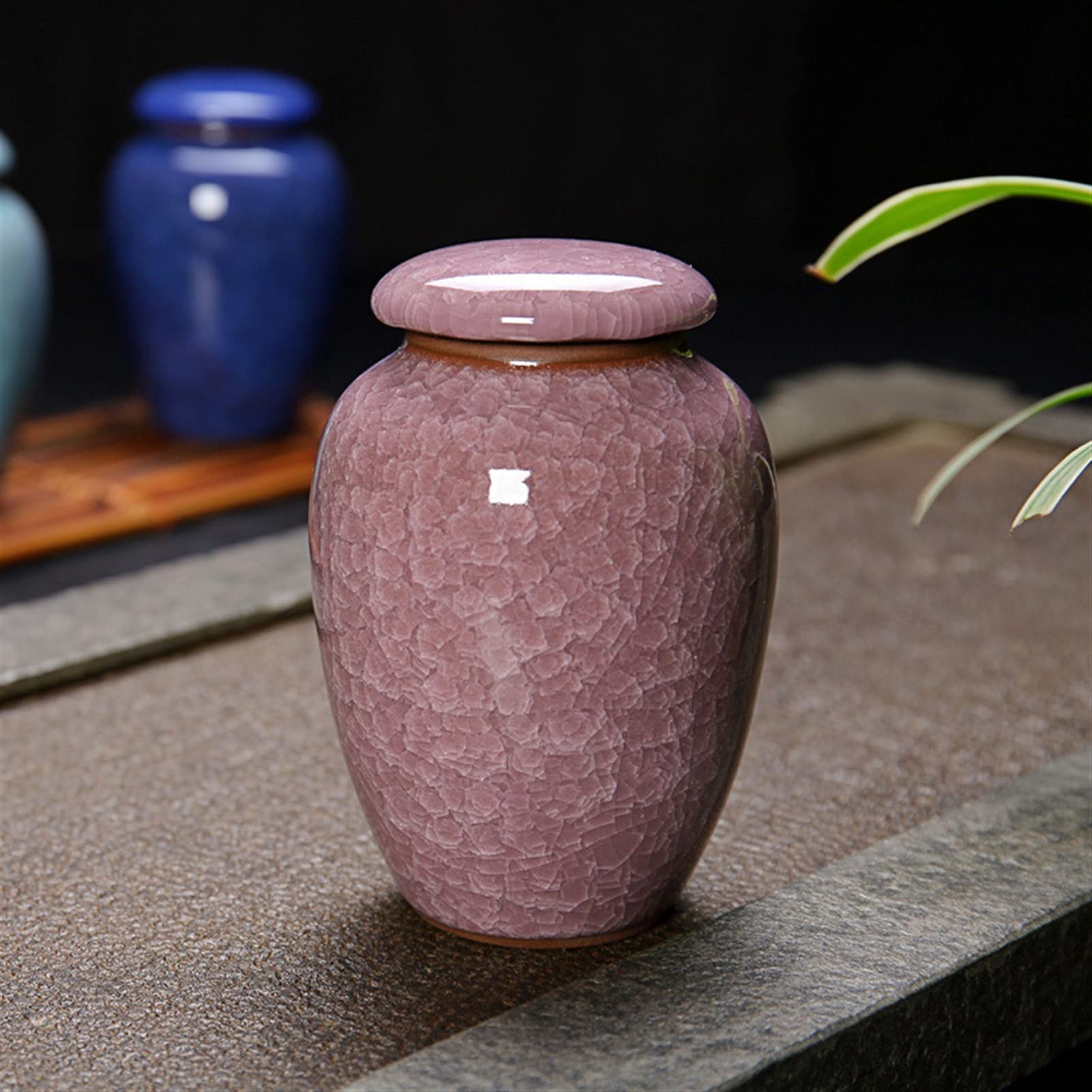 JFGCTYHXY Pet urns, Pet Cremation Urn For Human Ashes Multicolor 300ml Ceramic Hand Painted