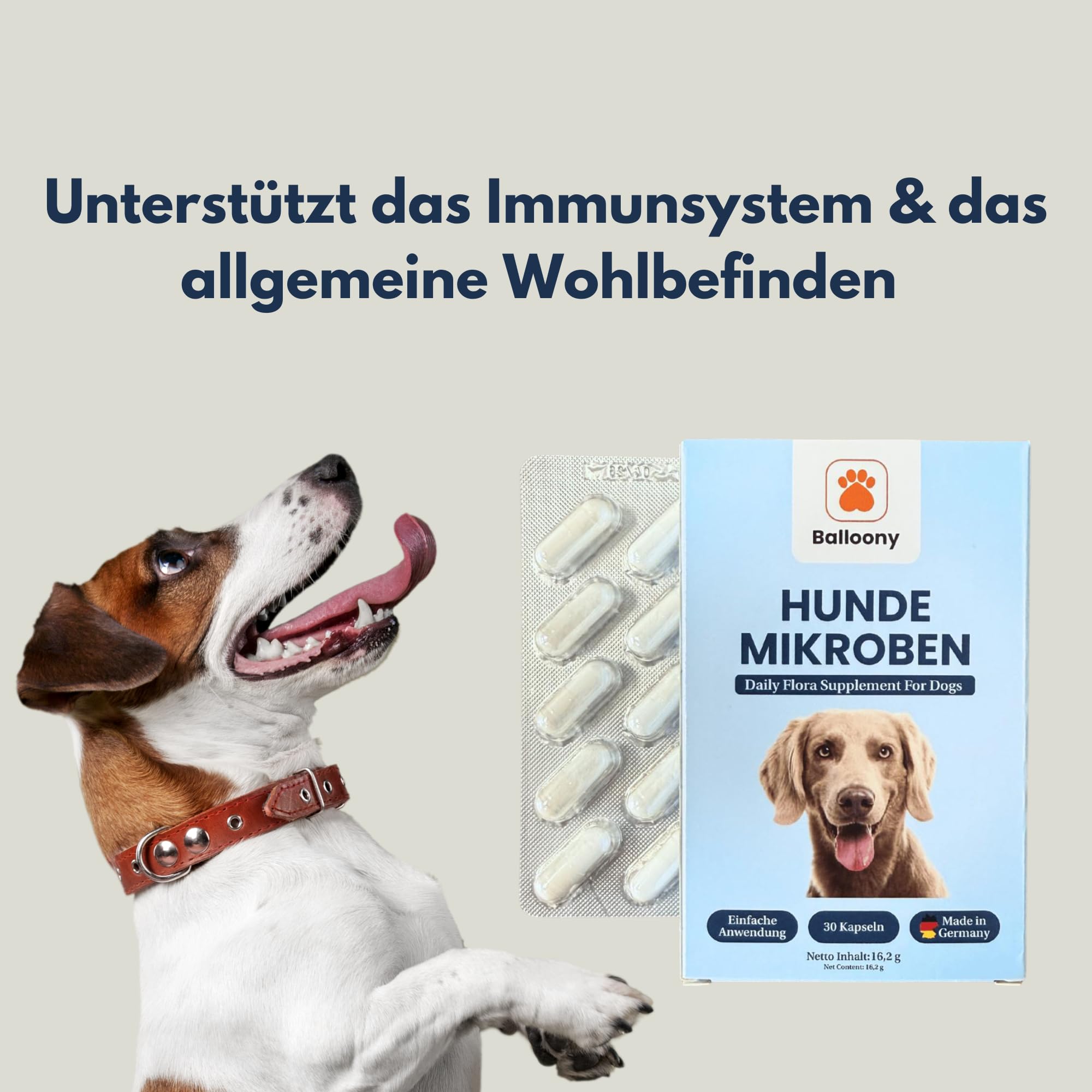 Mikroby dla psów – probiotyki premium dla zdrowia trawienia (30 kapsułek)
