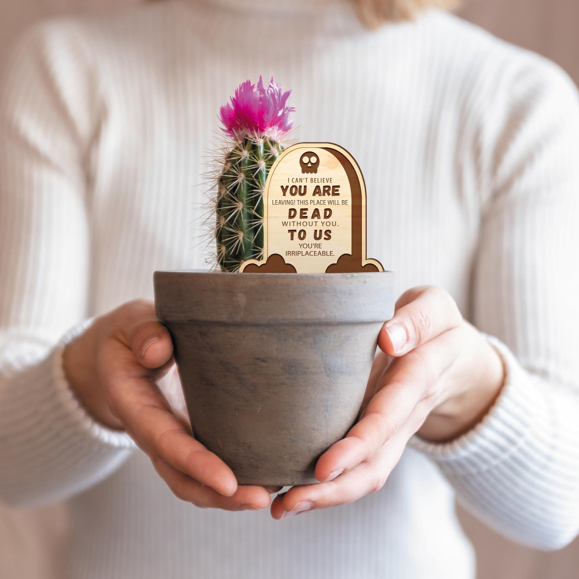 Dead to Us Plant Tag - Funny Leaving Gift for Work Colleague - Moving Small Joke Gift, Thoughtful New Job or Retirement Gift - Plant Present