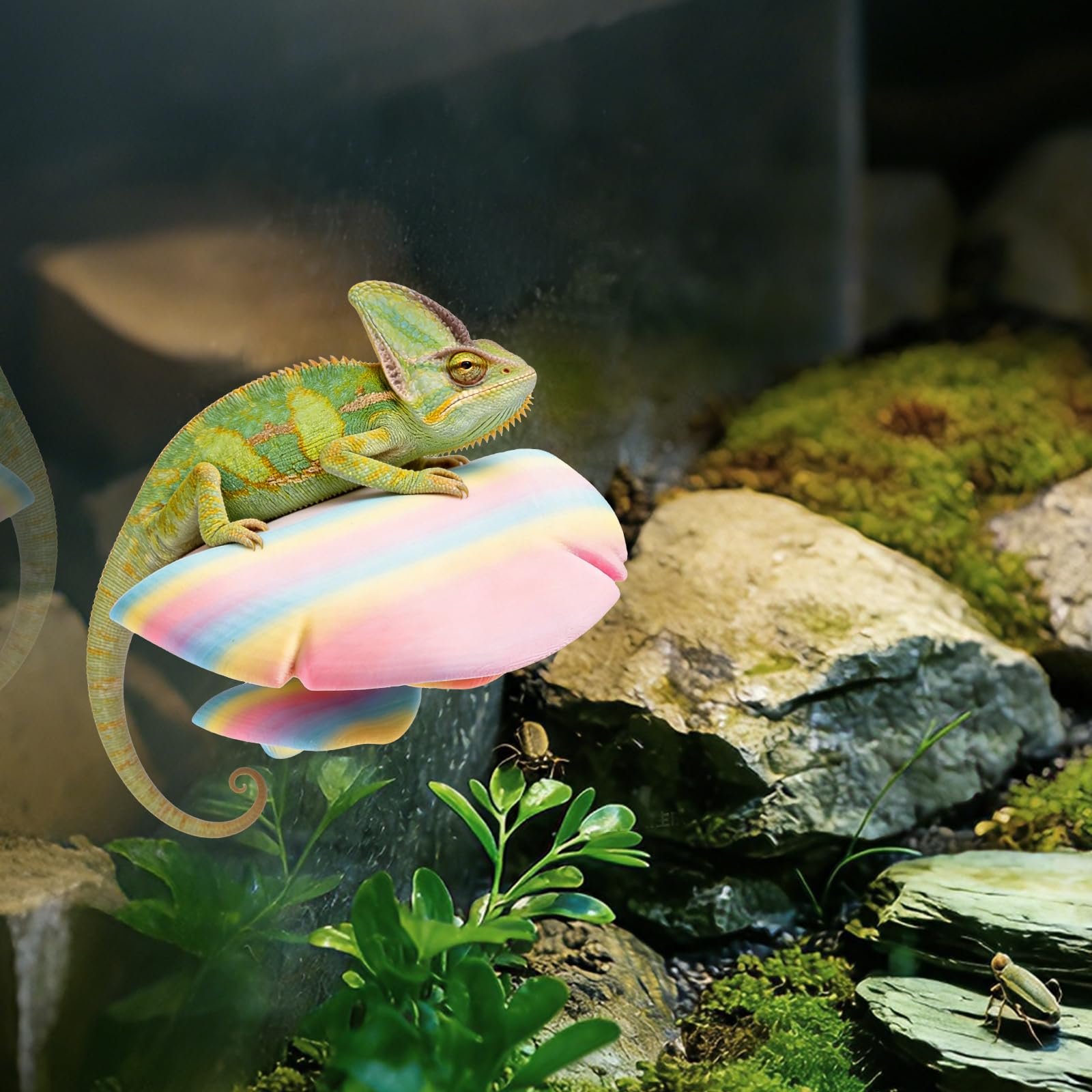 Boxili Reptile Basking Platform for Terrarium, Plastic Mushroom Habitat Ornament with Suction Cups, Bearded Dragons Tank Accessories for Crested Gecko, Lizards, Tree Frogs (Colorful)