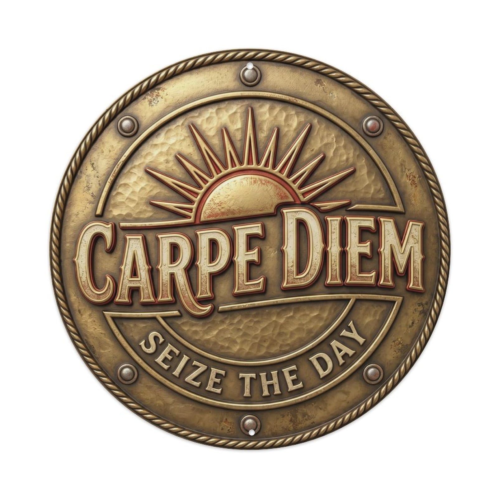 Carpe Diem Vintage Indoor Accessory Retro Slogans Metal Tin Sign
