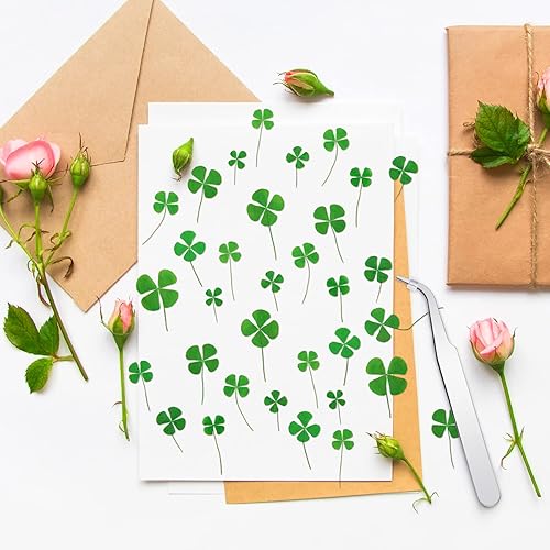 Miniatura 7 de 60 piezas de trébol de cuatro hojas secas para resina prensada de 4 hojas, flores prensadas secas reales para hacer joyas y manualidades, 3 tamaños