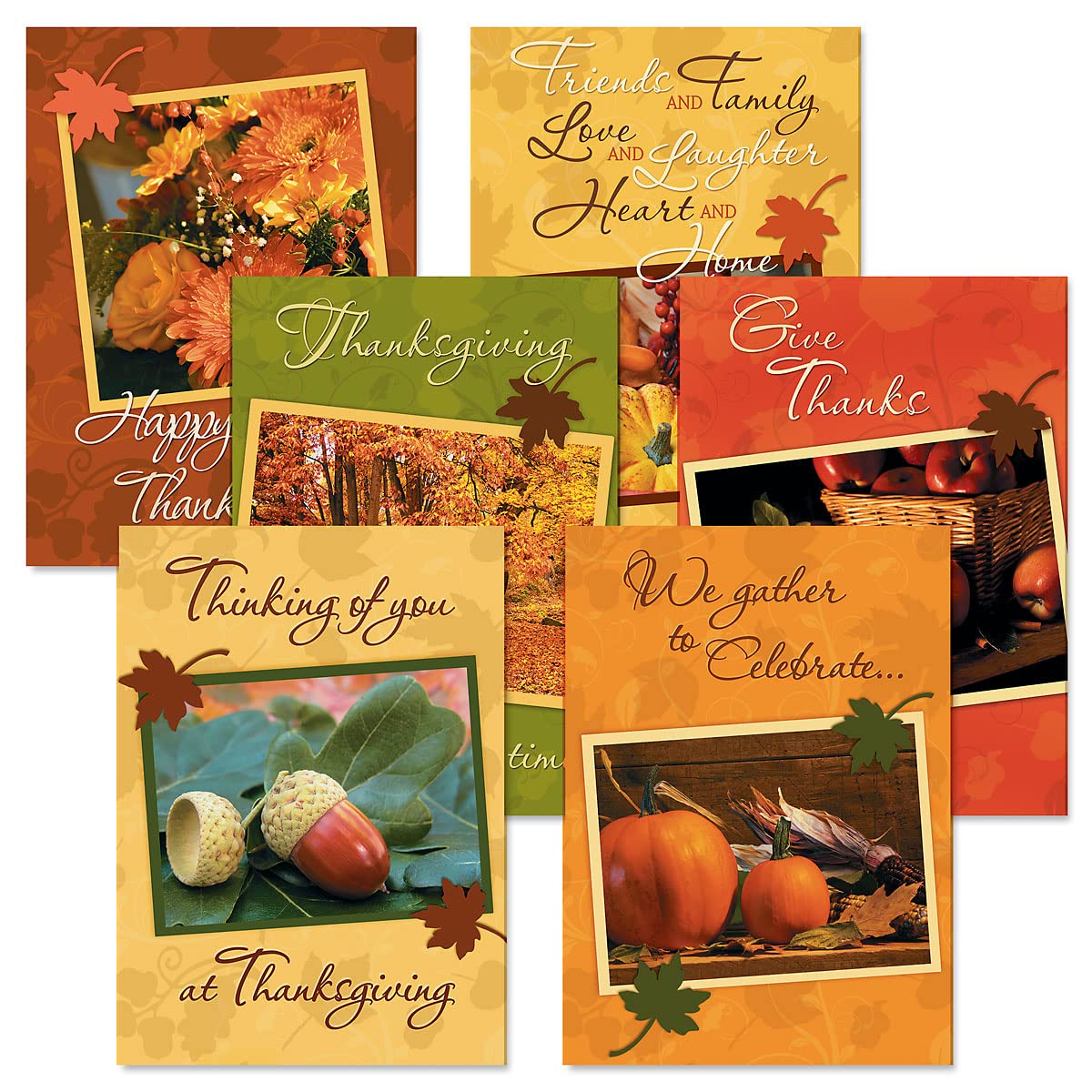 Current Photo Thanksgiving Greeting Cards Set - Themed Fall Holiday Card Variety Value Pack, Set of 12 Large 5 x 7-Inch Cards, Assortment of 6 Unique