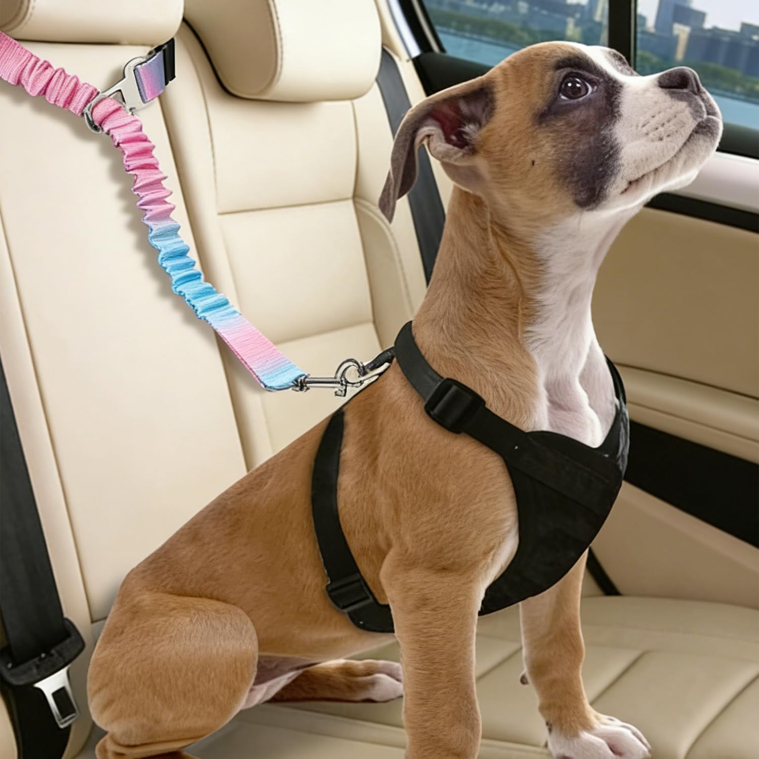 Réglable Ceinture Securite Chien Voiture - 1 Pièce, Bleu Rose Dégradé, Elastique Attache Chiens Voitures, Adaptée à Tous Les Types d'animaux et de Modèles de Véhicules