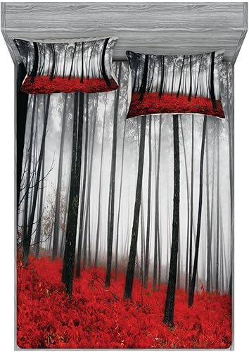 Miniatura 59 de Ambesonne Juego de sábanas bajeras y fundas de almohada, dibujos de aviones antiguos, vuelos clásicos con fechas, estilo vintage, diseño nostálgico,