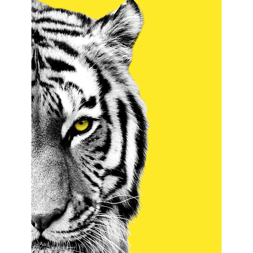 Wee Blue Coo Close Up Beasties Tiger Unframed Wall Art Print Poster Home Decor Premium